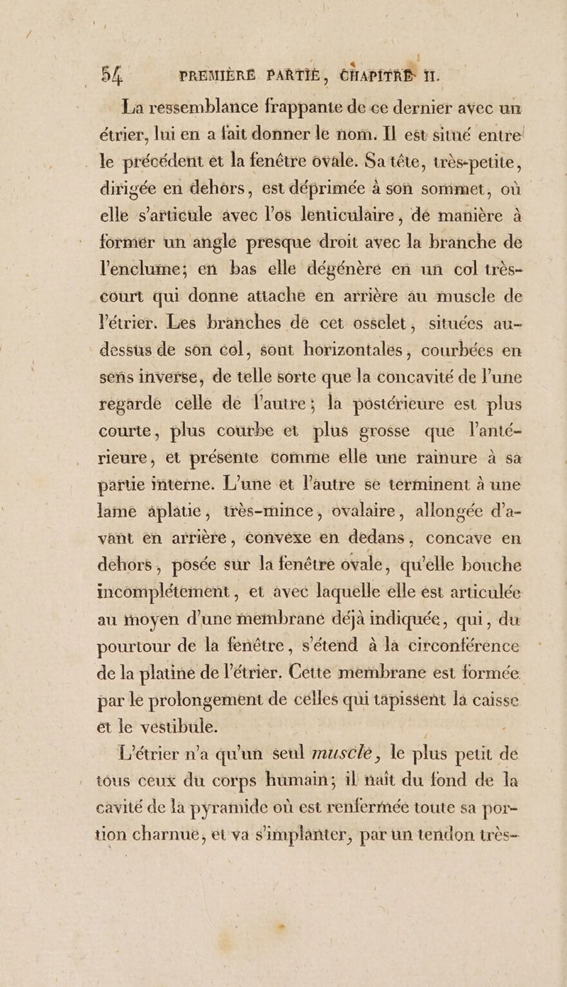 . La ressemblance frappante de ce dernier avec un étrier, lui en a fait donner le nom. Il est situé entre! le précédent et la fenêtre ovale. Satête, très-petite, dirigée en dehors, est déprimée à son sommet, où elle s'articule avec l'os lenticulaire, dé manière à formér un angle presque droit avec la branche de l'enclume; en bas elle dégénèré en uñ col très- court qui donne attache en arrière au muscle de Vétrier. Les branches de cet osselet, situées au- dessus de son col, sont horizontales, courbées en sens inverse, de telle sorte que la concavité de lune regarde celle de l'autre; la postérieure est plus courte, plus courbe et plus grosse que lanié- rieure, et présente comme elle une rainure à sa partie interne. L'une et l’autre se terminent à une lame aplaue, ès-mince, ovalaire, allongée d’a- vant en arrière, convexe en dedans, concave en dehors, posée sur la fenêtre ovale, qu’elle bouche incomplétement, et avec laquelle elle est aruüculée au moyen d’une membrane déjà indiquée, qui, du pourtour de la fenêtre, s'étend à là circonférence de la platine de l'étrier. Cette membrane est formée par le prolongement de célles qui tapissent la caisse ét le vestibule. | L'étrier n’a qu'un seul rusclé, le plus peut de tous ceux du corps humain; il nait du fond de la cavité de la pyramide où est renfermée toute sa por- tion charnué, et va s'implanter, par un tendon très-