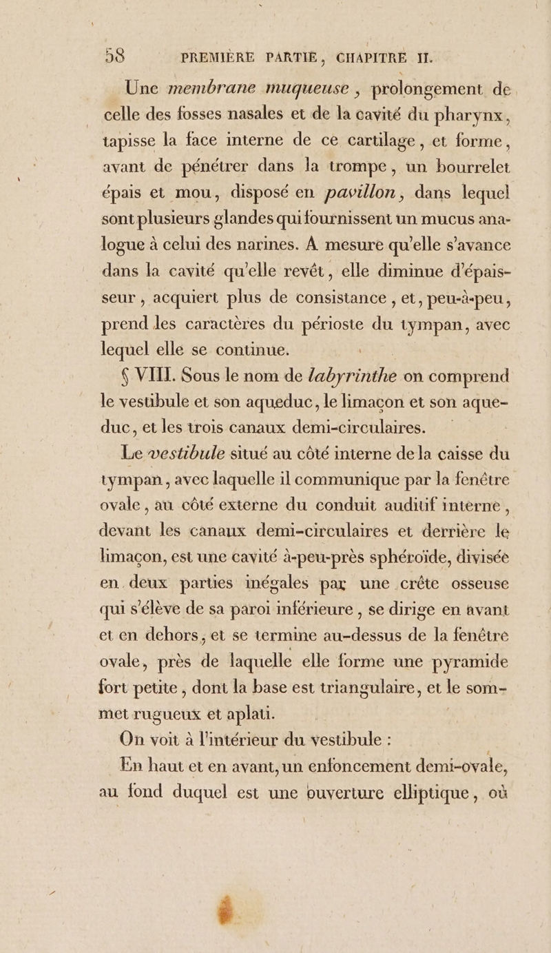 Une membrane muqueuse , prolongement de celle des fosses nasales et de la cavité du pharynx, tapisse la face interne de ce cartilage, et forme, avant de pénétrer dans la trompe, un bourrelet épais et mou, disposé en pavillon, dans lequel sont plusieurs glandes quifournissent un mucus ana- logue à celui des narines. À mesure qu'elle s’avance dans la cavité qu’elle revêt, elle diminue d’épais- seur , acquiert plus de consistance , et, peu-à-peu, prend les caractères du périoste du tympan, avec lequel elle se continue. { VIIT. Sous le nom de labyrinthe on comprend le vestibule et son aqueduc, le limacon et son aque- duc, et les trois canaux demi-circulaires. Le vestibule situé au côté interne de la caisse du tympan , avec laquelle il communique par la fenêtre ovale , au côté externe du conduit audiuf interne, devant les canaux demi-circulaires et derrière le limaçon, est une cavité à-peu-près sphéroïde, divisée en deux parties inégales par une crête osseuse qui s'élève de sa paroi inférieure , se dirige en avant et en dehors, et se termine au-dessus de la fenêtre ovale, près de laquelle elle forme une pyramide fort peute , dont la base est triangulaire, et le som- met rugueux et aplati. On voit à l'intérieur du vestibule : | En haut et en avant, un enfoncement demi-ovale, au fond duquel est une ouverture elliptique, où