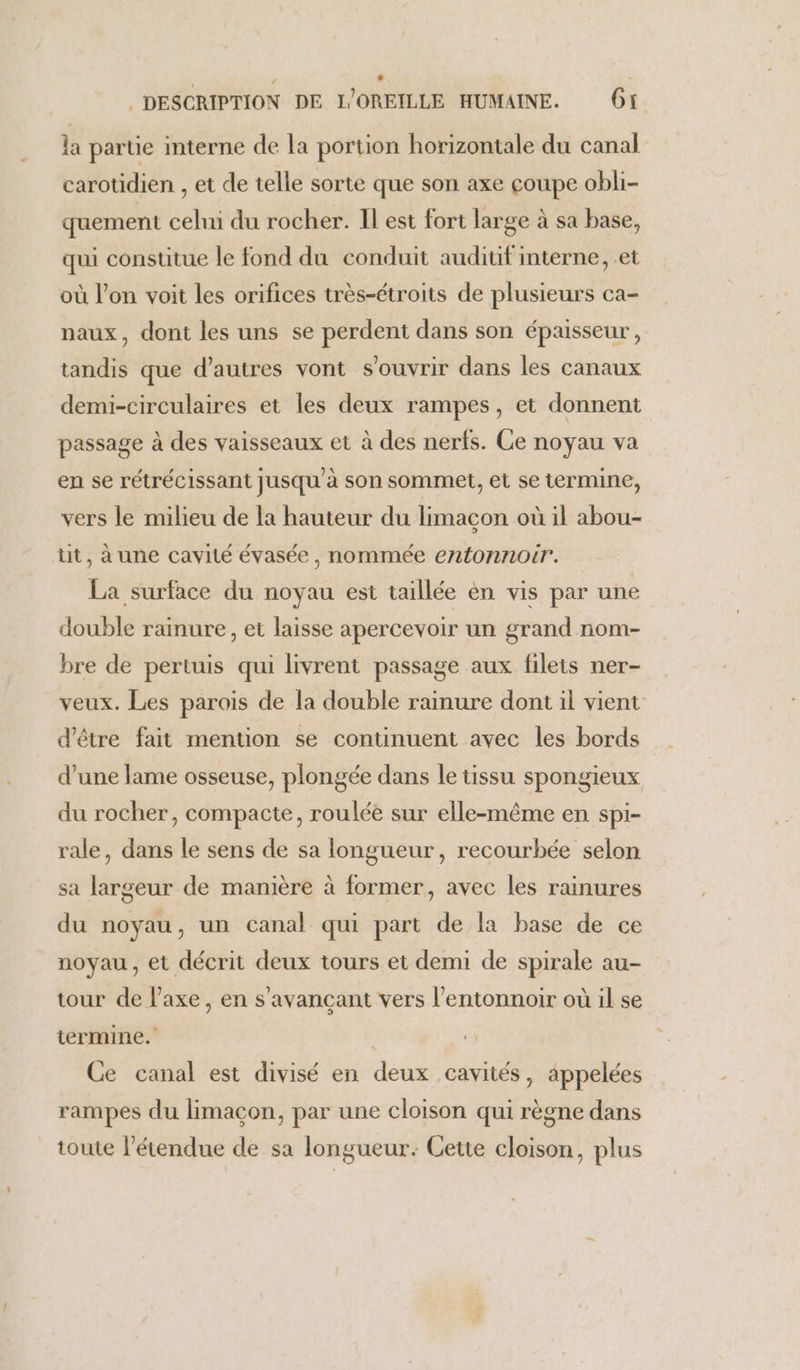 la parte interne de la portion horizontale du canal carotidien , et de telle sorte que son axe coupe obli- quement celni du rocher. Il est fort large à sa base, qui constitue le fond du conduit audiuf interne, et où l’on voit les orifices très-étroits de plusieurs ca- naux, dont les uns se perdent dans son épaisseur, tandis que d’autres vont s'ouvrir dans les canaux demi-circulaires et les deux rampes, et donnent passage à des vaisseaux et à des nerfs. Ce noyau va en se rétrécissant jusqu à son sommet, et se termine, vers le milieu de la hauteur du limacon où il abou- ut, à une cavité évasée , nommée e72É0nn0tr. La surface du noyau est taillée èn vis par une double rainure, et laisse apercevoir un grand nom- bre de pertuis qui livrent passage aux filets ner- veux. Les parois de la double rainure dont il vient d’être fait mention se continuent avec les bords d’une lame osseuse, plongée dans le tissu spongieux du rocher, compacte, roulée sur elle-même en spi- rale, dans le sens de sa longueur, recourbée selon sa largeur de manière à former, avec les rainures du noyau, un canal qui part de la base de ce noyau, et décrit deux tours et demi de spirale au- tour de l'axe, en s'avançant vers l’entonnoir où il se termine. | Ce canal est divisé en deux cavités, appelées rampes du limaçon, par une cloison qui règne dans toute l’étendue de sa longueur: Cette cloison, plus