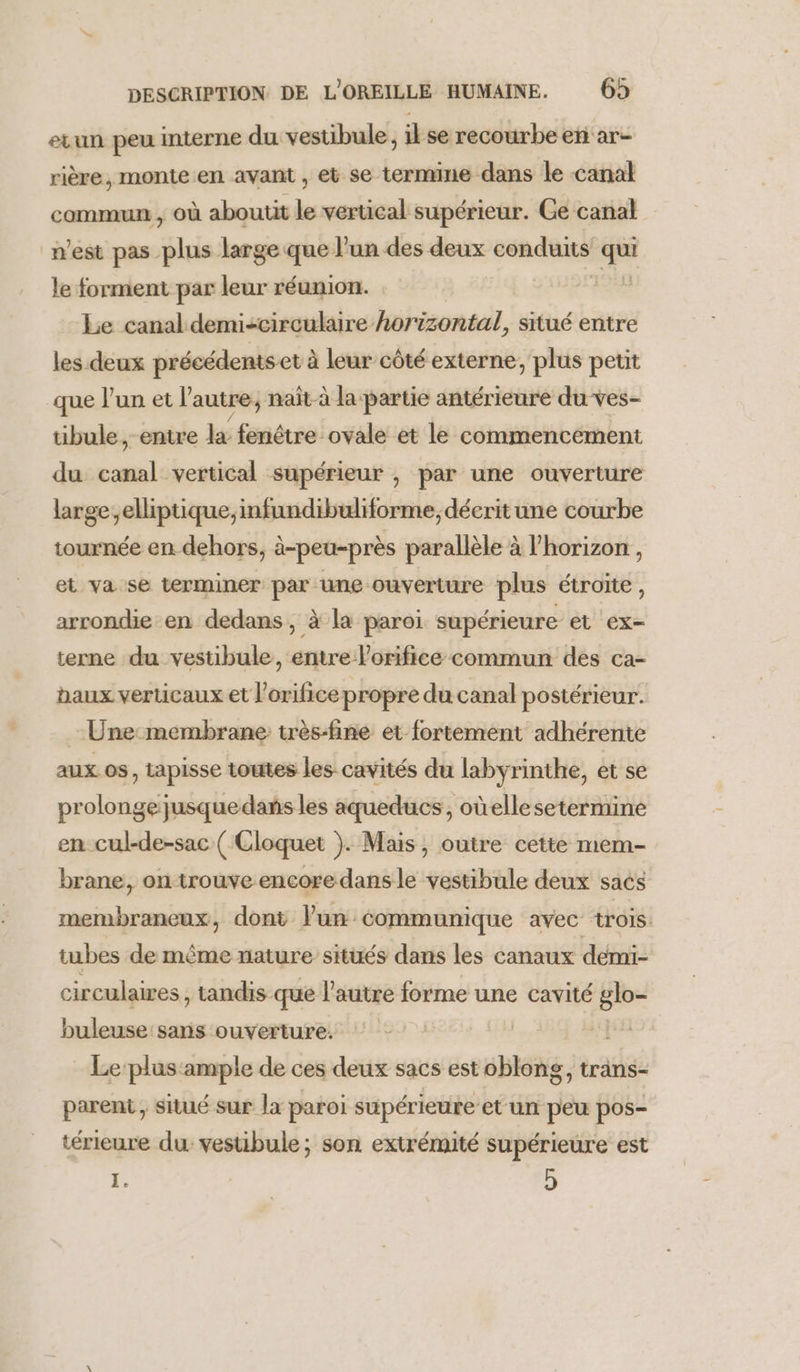 evun peu interne du vestibule, il se recourbe en ar- rière, monte en avant , et se termine dans le canal commun , où aboutit le vertical supérieur. Ge canal n’est pas plus large que l’un des deux conduits Fes le forment par leur réunion. Le canal demi-circulaire horizontal, situé entre les deux précédents et à leur côté externe, plus petit que l'un et l'autre, naît-à la partie antérieure du ves- übule, entre la fenêtre ovale et le commencement du canal vertical supérieur , par une ouverture large ,elliptique,infundibuliforme, décrit une courbe tournée en dehors, à-peu-près parallèle à l'horizon , et va se terminer par une ouverture plus étroite, arrondie en dedans, à la paroi. supérieure et ex= terne du vestibule, entre Vorifice commun des ca- baux verticaux et l’orifice propre du canal postérieur. - Une:membrane très-fine et fortement adhérente aux os, tapisse toutes les cavités du labyrinthe, et se prolonge jusquedañs les aqueducs, oùellesetermine en cul-de-sac ( Cloquet ). Mais, outre cette mem- brane, on trouve encore dans le vestibule deux saés membrancux, dont lun communique avec trois. tubes de même nature sitüés dans les canaux démi- circulaires , tandis que l’autre e forme une cavité glo- buleuse sans ouverture. | Le‘plus ample de ces deux sacs est oblong, trans- parent , situé sur la paroi supérieure et un peu pos- térieure du vestibule; son extrémité supérieure est : | 5