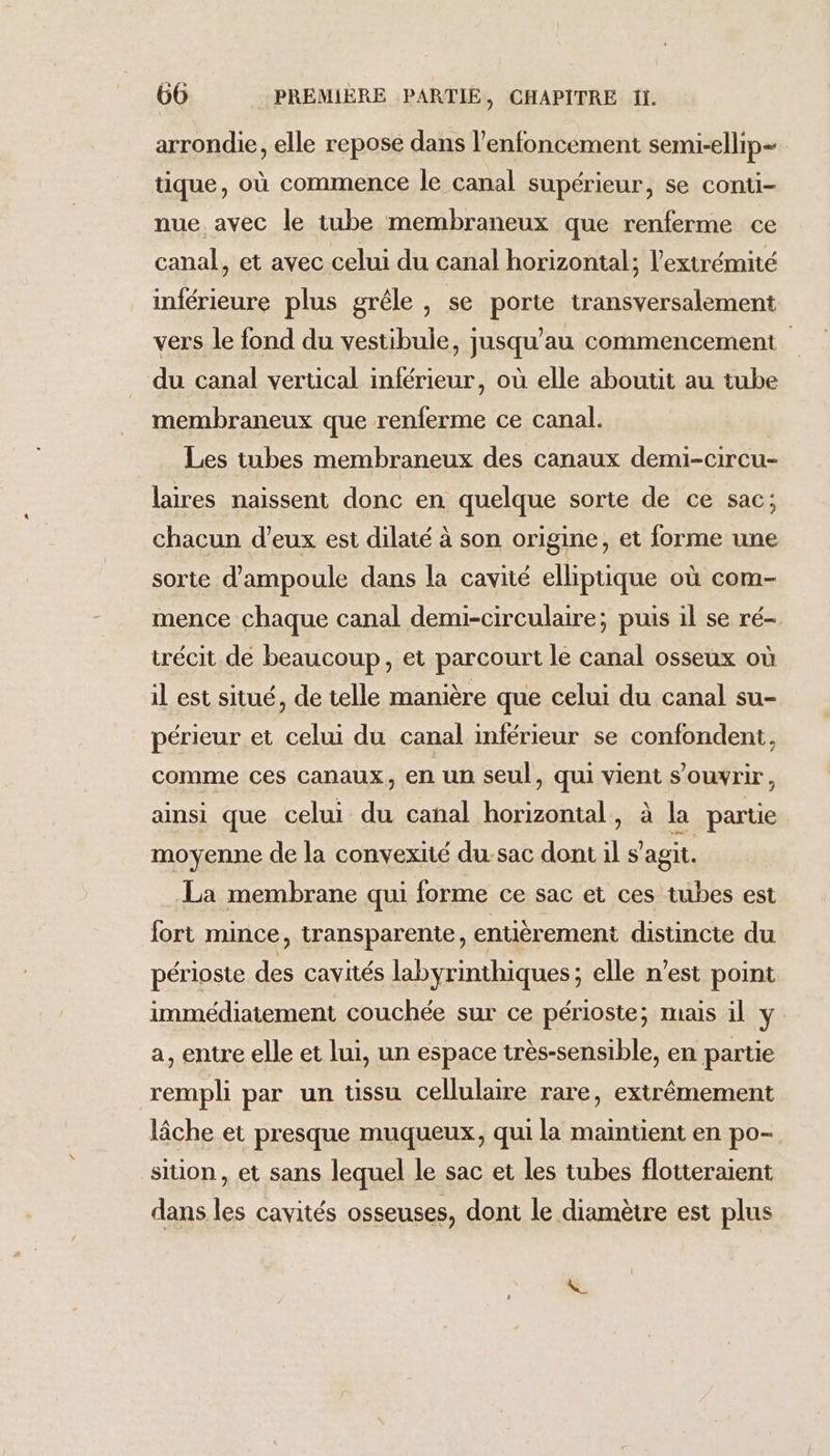 arrondie, elle repose dans l’enfoncement semi-ellip- tique, où commence le canal supérieur, se contui- nue. avec le tube membraneux que renferme ce canal, et avec celui du canal horizontal; l'extrémité inférieure plus grêle , se porte transversalement vers le fond du vestibule, jusqu'au commencement du canal vertical inférieur, où elle aboutit au tube membraneux que renferme ce canal. Les tubes membraneux des canaux demi-circu- laires naissent donc en quelque sorte de ce sac; chacun d’eux est dilaté à son origine, et forme une sorte d'ampoule dans la cavité elliptique où com- mence chaque canal demi-circulaire; puis il se ré- trécit de beaucoup, et parcourt le canal osseux où il est situé, de telle manière que celui du canal su- périeur et celui du canal inférieur se confondent, comme ces canaux, en un seul, qui vient s'ouvrir, ainsi que celui du canal horizontal, à la partie moyenne de la convexité du-sac dont il s'agit. La membrane qui forme ce sac et ces tubes est fort mince, transparente, entièrement distincte du périoste des cavités labyrinthiques; elle n’est point immédiatement couchée sur ce périoste; mais il y a, entre elle et lui, un espace très-sensible, en partie rempli par un tissu cellulaire rare, extrêmement lâche et presque muqueux, qui la maintient en po- sition, et sans lequel le sac et les tubes flotteraient dans les cavités osseuses, dont le diamètre est plus L
