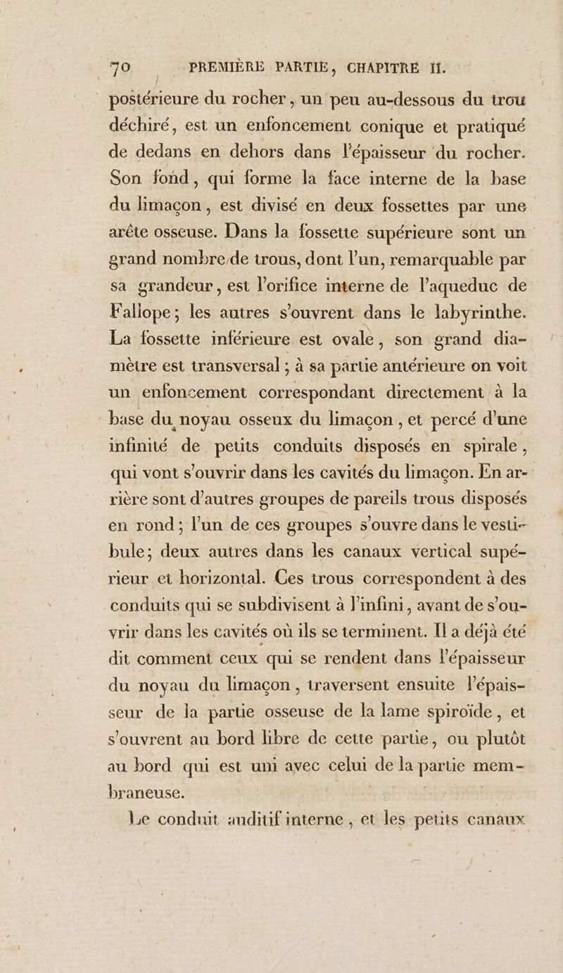 _ postérieure du rocher, un peu au-dessous du trou déchiré, est un enfoncement conique et pratiqué de dedans en dehors dans l'épaisseur du rocher. Son fond, qui forme la face interne de la base du limaçon , est divisé en deux fossettes par une arête osseuse. Dans la fossetie supérieure sont un grand nombre/de trous, dont l’un, remarquable par sa grandeur , est l’orifice interne de l’aqueduc de Fallope; les autres s'ouvrent dans le labyrinthe. La fossette inférieure est ovale, son grand dia- mètre est transversal ; à sa partie antérieure on voit un enfoncement correspondant directement à la base du noyau osseux du limacon , et percé d'une infinité de petits conduits disposés en spirale , qui vont s'ouvrir dans les cavités du limaçon. En ar- rière sont d’autres groupes de pareils trous disposés en rond; l’un de ces groupes s'ouvre dans le vesti- bule; deux autres dans les canaux vertical supé- rieur et horizontal. Ces trous correspondent à des conduits qui se subdivisent à l'infini, avant de s’ou- vrir dans les cavités où ils se terminent. Îl a déjà été dit comment ceux qui se rendent dans l'épaisseur du noyau du limaçon, traversent ensuite l’épais- seur de la partie osseuse de fa lame spiroïde , et s'ouvrent au bord libre de cette partie, ou plutôt au bord qui est uni avec celui de la partie mem- braneuse. 7 Le conduit auditif interne, et les petits canaux
