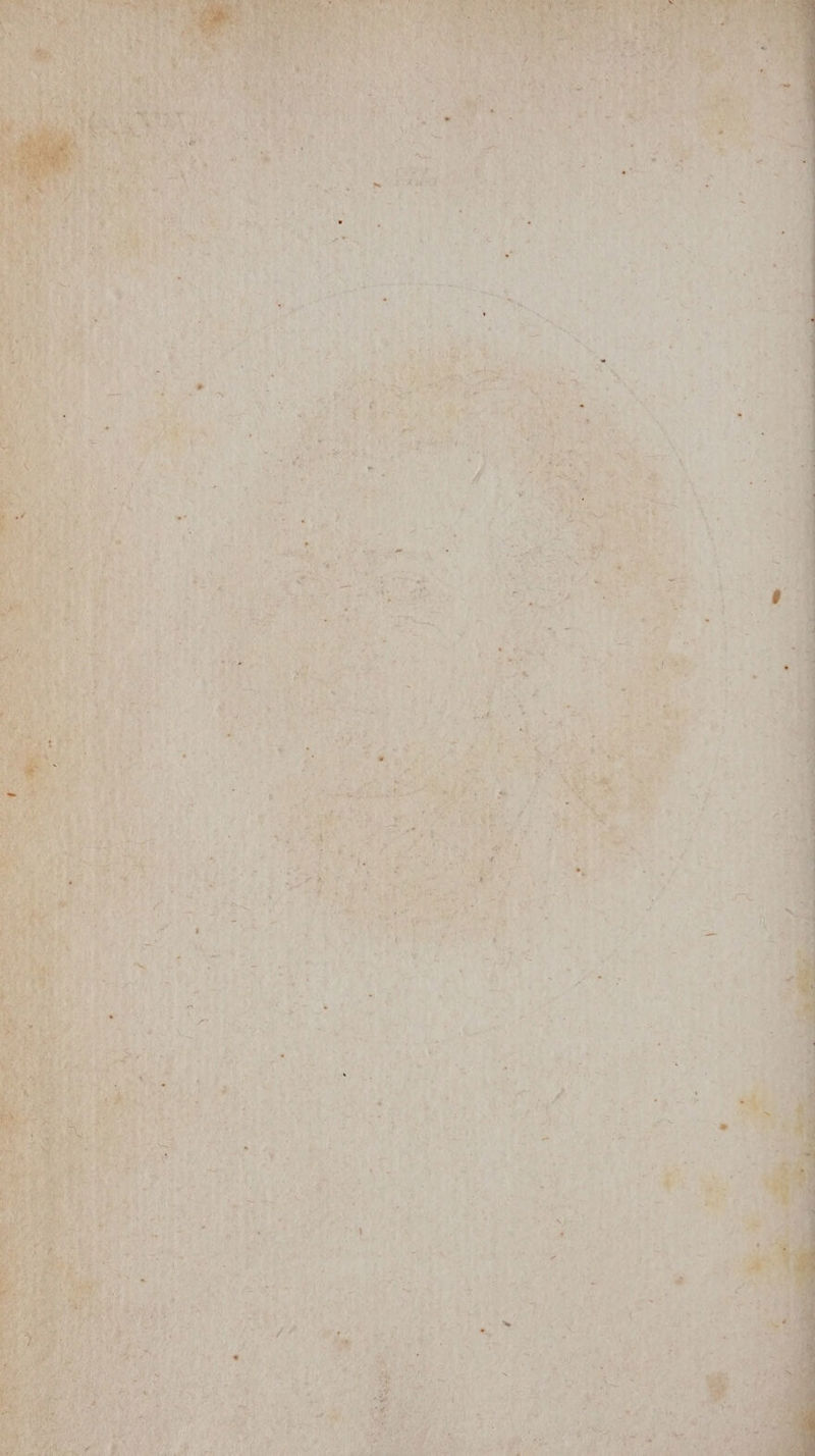 x ke eins oat ARES u pl en IN EL we Nee >) N NER I A