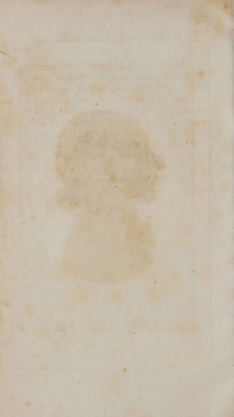 ¥ “A Ile, re y\ u A 7? r Les * Ne ore.