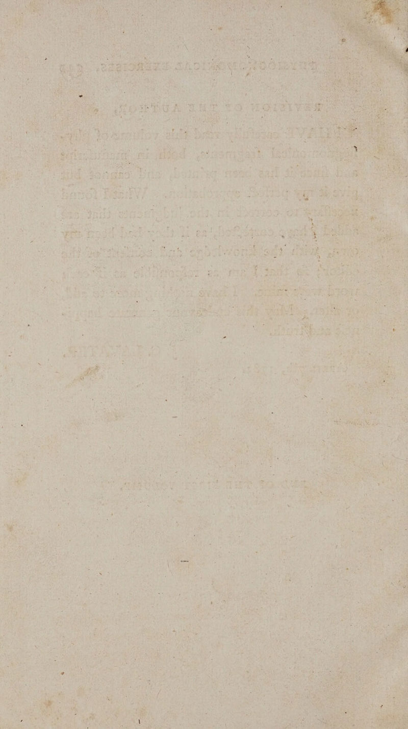 E > { i Pe Kr 28 ’ 2