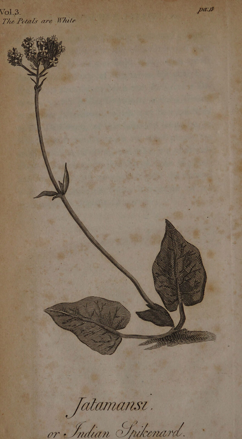 at