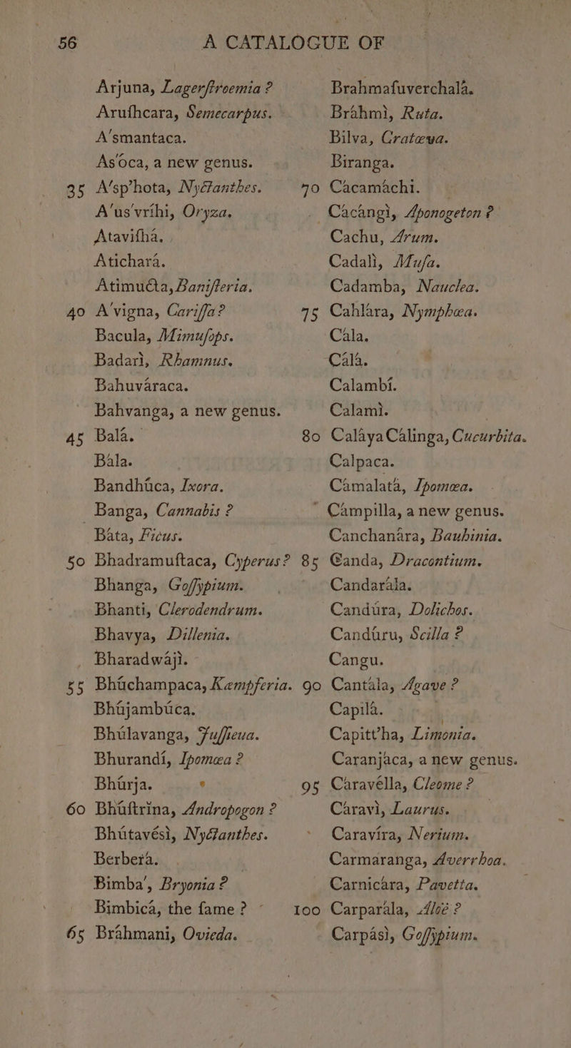 35 40 45 Arjuna, Lagerftroemia ? A’smantaca. As0ca, a new genus. A’sp’hota, Nydfanthes. A’us'vrihi, Oryza, Atavifha, . Atichara. Atimuta, Banifferia. A'vigna, Cariffa? Bacula, Mimu/ops. Badari, Rhamnus, Bahuvaraca. Bala. Bala. Bandhica, Ixora. 50 55 60 65 Bata, Ficus. 70 Brahmafuverchala. Brahmi, Ruta. Bilva, Crateya. Biranga. Cacamachi. 75 80 Cachu, Arum. Cadali, Mufa. Cadamba, Newclea. Cahlara, Nymphea. Cala, Calambi. Calami. CalayaCalinga, Cucurbita. Calpaca. Camalata, [pomea. Bhanga, Go//ypium. Bhanti, Clerodendrum. Bhavya, Dillenia. Bharadwaj}. Bhajambutca. Bhulavanga, Fuffeua. Bhurandi, Ipomea ? Bhiyja. ‘ Bhaftrina, Andropogon ? Bhutavési, Nydfanthes. Berbera. | Bimba’, Bryonia ? Bimbica, the fame ? Brahmani, Ovieda. pa Canchanara, Bauhinia. @anda, Dracontium. Candarala. Candura, Dolichos. Candutru, Scilla ? Cangu. Cantala, gave ? Capila. Capitt’ha, Litonia. Caranjaca, anew genus. Caravella, Cleome ? Caravi, Laurus. Caravira, Nerium. Carmaranga, Averrhoa. Carnicara, Pavetta, Carparala, .4/0é ? Goffypium. Carpas},