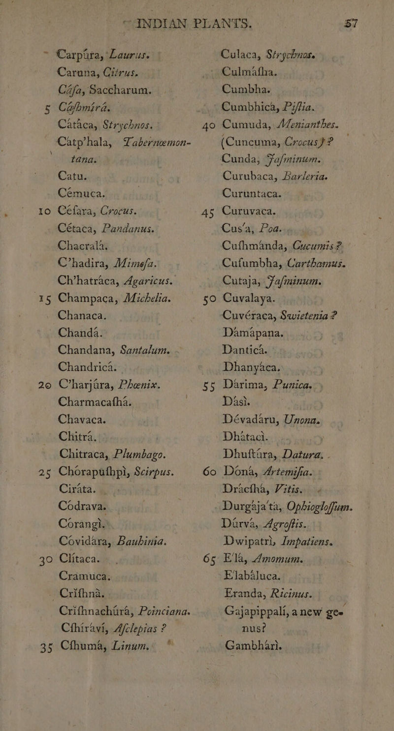 ec 2© 25 3° 35 Carpura, Laurus. Caruana, Citrus. Caja, Saccharum. Cafhmira. Cataca, Strychnos. tana. Catu. Céemuca. Cétaca, Pandanus. Chacrala. C’hadira, Mimo/a. Ch’hatraca, Agaricus. Champaca, Mdichelia. Chanaca. Chanda. Chandana, Santalum. Chandrica. C’harjara, Phenix. Charmacatha. Chavaca. Chitra. | Chitraca, Plumbago. Choraputhpi, Scirpus. Cirata. . Codrava. Corangi. Covidara, Bauhinia. Clitaca. Cramuca: Crifhnachira, Poinciana. Cihiravi, A/clepias ? 57 Culaca, Strychnas. ~ Culmatha. Cumbha. | Cumbhica, Piflia. 4o 45 50 55 6o Cumuda, AZenianthes. (Cuncuma, Crocus}? Cunda, Fa/minum. Curubaca, Aarleria. Curuntaca. Cus‘a, Poa. Cufhmanda, Cucumis? Cufumbha, Carthamus. Cutaja, Fa/minum. Cuvalaya. Cuvéraca, Swietenia ? Damapana. Dantica. Dhanyaca. Darima, Punica. Dasi. Dévadaru, Unona. Dhataci. , Dhuftara, Datura. . Dona, Artemifia. 65 Darva, Agroffis. Dwipatri, Impatiens. Ela, Amomum. 4 Elabluca. Eranda, Ricinus. Gajapippali, anew gee nus?