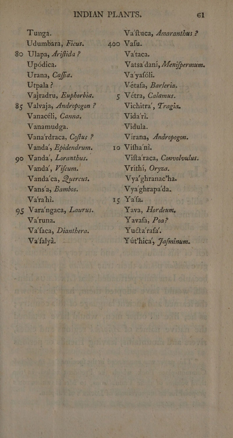 Tunga. - Va'fiuca, Amaranthus 2 Udumbara, Ficus. 400 Valu. 80 Ulapa, Ariftida ? Vataca. Upddica. Vatsa'dani, Menifpermum. Urana, Caffa. Va yafoli. | Utpala ? : Vetafa, Barleria. Vajradru, Euphorbia. 5 Vétra, Calamus. 85 Valvaja, Andropogon ? Vichitra’, Tragia. Vanacéli, Canna. ~ WVida'ri. Vanamudga. Vidula. Vana'rdraca, Coftus ? Virana, Andropogon. Vanda’, Epidendrum. to Vifha’ni. 90 Vanda’, Loranthus. Vilta'raca, Convolvulus. Wanda’, Vifeum.' | Vrithi, Oryza. Vanda'ca, Quercus. Vya'ghranac*ha. Vans 'a, Bambos. Vya ghrapa‘da. Varahi. “As Yala ; 95 Vara'ngaca, Laurus. Yava, Hordeum. Varuna. - Yavafta, Poa? Vatfaca, Dianthera. Yucta'rafa’. — Wa'falya. - Yuthica’, Fa/minum.