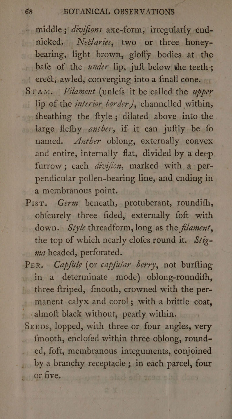 - middle ;' dvifiens axe-form, irregularly end- nicked, Neéfaries, two or three honey- bearing, light brown, gloffy bodies at the bafe of the wader lip, juft below the teeth; | erect,.awled, converging into a {mall cone. », Sram. Filament (unlefs it be called the upper lip of the zaterior border), channelled within, fheathing the ftyle; dilated above into the large flethy anther, if it can juftly be fo named. -Auther oblong, externally convex and entire, internally flat, divided by a deep. furrow; each divijion, marked with, a- per- pendicular pollen-bearing line, and ending in a membranous point. Pist. Germ beneath, protuberant, roundith, obfcurely three fided, externally foft with down. Szy/e threadform, long as the j/ament, the top of which nearly clofes round it. Stzg- ma headed, perforated. Per. Capfule (or capfular berry, not burfting in a determinate mode) oblong-roundifh, three ftriped, {mooth, crowned with the per- manent calyx and corol; with a brittle coat, _ .almoft black without, pearly within. SEEDS, lopped, with three or four angles, very {mooth, enclofed within three oblong, round- ed, foft, membranous integuments, conjoined by a branchy receptacle ; in each parcel, four or five.