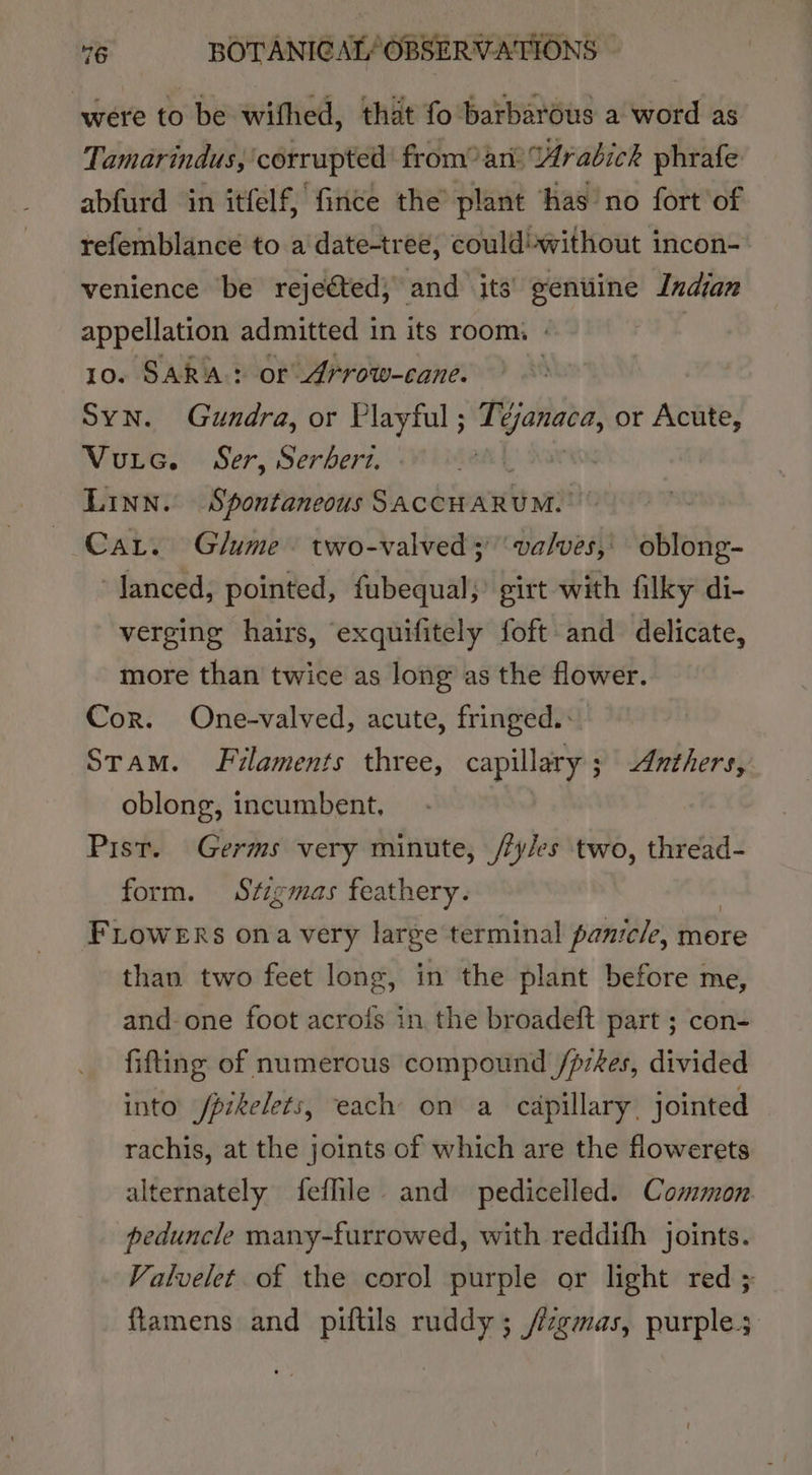were to be wifhed, that fo barbarous a word as Tamarindus, corrupted’ from? an? A4rabick phrafe abfurd in itfelf, fince the plant ‘has no fort of refemblance to a date-tree, could!without incon-— venience be rejeéted; and its’ genuine Indian appellation admitted in its room, ) 10. SARA? or Arrow-cane. SYN. Gundra, or Playful ; it plc or Acute, Vutec. Ser, Serbert. Linn. Spontaneous SACCHARUM. | Car. Glume. two-valved 3)‘ valves,' oblong- lanced, pointed, fubequal;’ girt with filky di- verging hairs, exquifitely foft and delicate, more than twice as long as the flower. Cor. One-valved, acute, fringed. : Stam. Fuilaments three, capillary ; ; Anthers, oblong, incumbent, Pist. Germs very minute, /yles two, thread- form. Stzgmas feathery. FLoweks ona very large terminal panicle, more than two feet long, in the plant before me, and-one foot acrofs in the broadeft part ; con- fifting of numerous compound /prkes, divided into /pikelets, each on a capillary. jointed rachis, at the joints of which are the flowerets alternately feflile and pedicelled. Common peduncle many-furrowed, with reddifh joints. Valvelet of the corol purple or light red ; ftamens and piftils ruddy ; /izgmas, purple;
