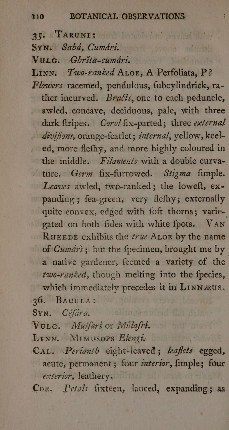 35. 'Tarunt: Syn. Sabd, Cumari. Vue. Ghrita-cumari. — Linn: - Iwo-ranked Aor, A Perfoliata, P? Flowers racemed, pendulous, fubcylindrick, ra- ~ ther incurved. Bracfs, one to each peduncle, awled, concave, deciduous, pale, with three dark ftripes. Coro/ fix-parted; three external divifions, orange-{earlet; zzternal, yellow, keel- ed, more flefhy, and more highly coloured in the middle. Fz/aments with a double curva- ture. Germ fix-furrowed. Stigma fimple. Leaves awled, two-ranked; the loweft, ex- panding ; fea-green, very flefhy; externally quite convex, edged with foft thorns; varic- gated on both fides with white fpots. Van RHEEDE exhibits the ¢-we ALor by the name of Cumdri; but the fpecimen, brought me by a native gardener, feemed a variety of the two-ranked, though melting into the fpecies, which immediately precedes it in LINN&amp;UuS. 36. Bacura: Syn. Céfara. é Vurce. Mulfari or Mila/frt. Linn. Mrmusops Elengi, Car. -Perianth eight-leaved ; bapas egged, acute, permanent; four zaterior, fimple; four exterior, leathery. : Cor. Petals fixteen, lanced, expanding; as