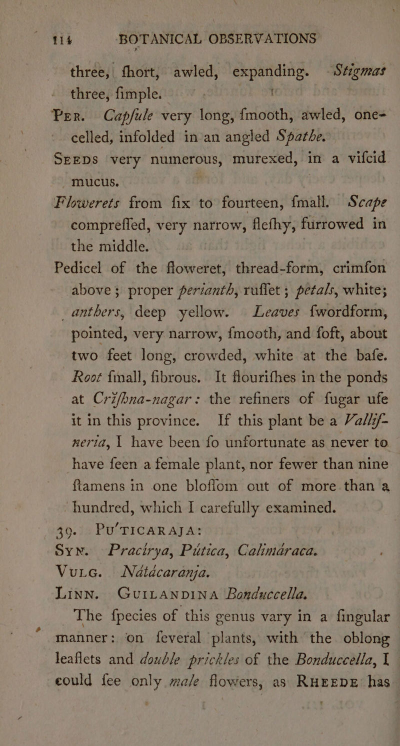 three, fhort, awled, expanding. — Stigmas three, fimple. | Per. Capfule very long, {mooth, awled, one- celled, infolded in/an angled Spatée. SEEDS very numerous, murexed, in a vifcid mucus. | Flowerets from fix to fourteen, fmall. Scape comprefled, very narrow, flefhy, furrowed in the middle. | Pedicel of the floweret, thread-form, crimfon above; proper perianth, ruflet ; petals, white; anthers, deep yellow. Leaves fwordform, pointed, very narrow, fmooth, and foft, about two feet long, crowded, white at the bafe. Root fimall, fibrous. It flourifhes in the ponds at Cri/bna-nagar: the refiners of fugar ufe it in this province. If this plant be a Valli/- neria, 1 have been fo unfortunate as never to have feen a female plant, nor fewer than nine fiamens in one bloflom out of more than a hundred, which | carefully examined. 39. Pu’TICARAJA: Syn. Pracirya, Pitica, Cahmaraca. Vue. Nétdcaranja. Linn. Gurranpina Bonduccella. The fpecies of this genus vary in a fingular manner: ‘on feveral plants, with the oblong leaflets and double prickles of the Bonduccella, I could fee only male flowers, as RHEEDE has