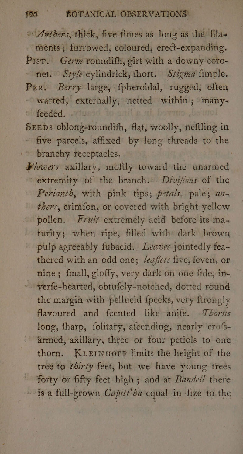o Anthers, thick, five times 48 long as the fila. ménts ; furrowed, coloured, erect-expanding. Pist. Germ roundith, girt with a downy coro- net. Sty/e cylindrick, fhort. Stigma fimple. Per. Berry large, {pheroidal, rugged, often warted, externally, netted within; many- feeded. . | SEEDs oblong-roundith, flat, woolly, neftling in five parcels, affixed by long threads to the branchy receptacles. , Flowers axillary, moftly toward the unarmed extremity of the branch. ‘Dzvi/ons of the - Perianth, with pink tips; petals, pale; an- thers, erimfon, or covered with bright yellow pollen. rut extremely acid before its ma- turity; when ripe, filled with dark brown - pulp agréeably fubacid. Leaves jointedly fea- thered with an odd one; /caffets five, feven, or nine; {mall, glofly, very dark on one fide; in- verfe-hearted, obtufely-notched, dotted round the margin with pellucid {pecks, very flrongly flavoured and fcented like anife. Thorns long, fharp, folitary, afcending, nearly crofs- armed, axillary, three or four petiols to one thorn. KLErNuorF hmits the height of the tree to thirty feet, but we have young trees forty or fifty feet high; and at Bande// there