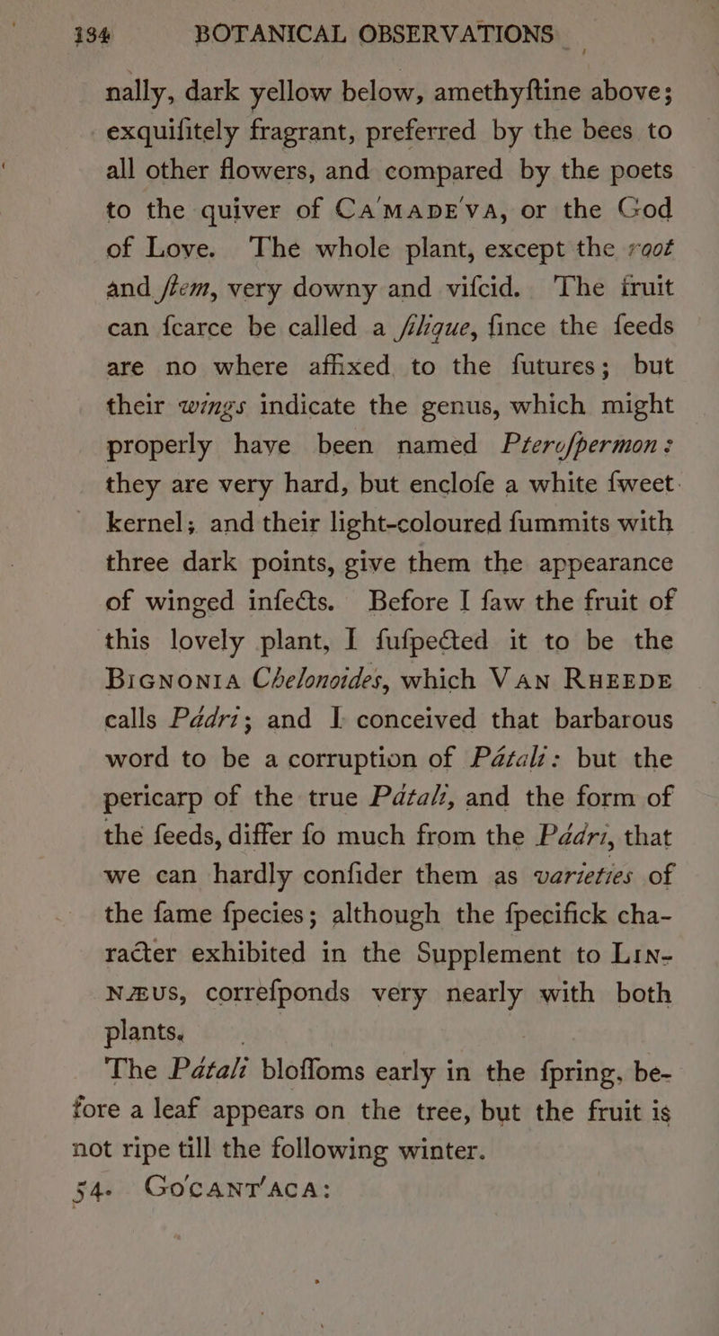 nally, dark yellow below, amethyftine above; exquilitely fragrant, preferred by the bees to all other flowers, and compared by the poets to the quiver of CamapEva, or the God of Love. The whole plant, except the vaot and /tem, very downy and vifcid. The fruit can fcarce be called a /iique, fince the feeds are no where afhxed to the futures; but their wngs indicate the genus, which might properly have been named Ptero/permon: they are very hard, but enclofe a white {weet. kernel; and their light-coloured fummits with three dark points, give them the appearance of winged infects. Before I faw the fruit of this lovely plant, I fufpe&amp;ted it to be the Bicnonia Chelonoides, which Van RHEEDE calls Pédrz; and I conceived that barbarous word to be acorruption of Pétals: but the pericarp of the true Pdta/:, and the form of the feeds, differ fo much from the Péddri, that we can hardly confider them as varieties of the fame fpecies; although the fpecifick cha- racter exhibited in the Supplement to Lin- NEUS, correfponds very sini with both plants. The Patali bloffoms early in the fpring, be- fore a leaf appears on the tree, but the fruit is not ripe till the following winter. 54. GocanT’aca: