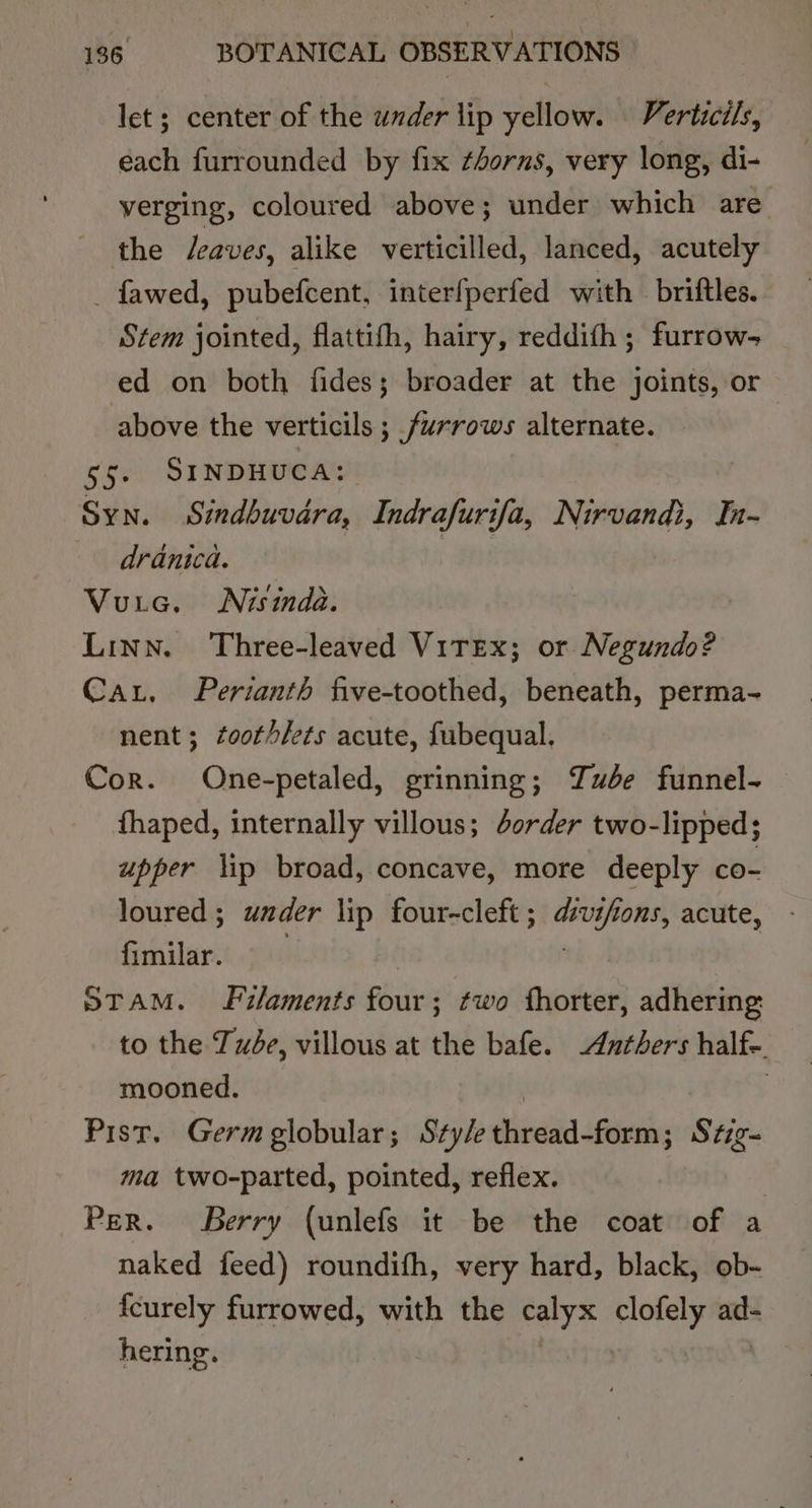 let; center of the under lip yellow. | Verticils, each furrounded by fix thorns, very long, di- verging, coloured above; under which are the leaves, alike verticilled, lanced, acutely _ fawed, pubefcent, interfperfed with briftles. Stem jointed, flattifh, hairy, reddifh; furrow- ed on both fides; broader at the joints, or above the verticils ; furrows alternate. 55. SINDHUCA: Syn. Sindbuvara, Indrafurifa, Nirvandi, In- dranica. Vura. Nisinda. Linn. Three-leaved Vitex; or Negundo? Ca, Perianth five-toothed, beneath, perma- nent; toothlets acute, fubequal. Cor. One-petaled, grinning; Tuése funnel- fhaped, internally villous; dorder two-lipped; upper lip broad, concave, more deeply co- loured ; uzder lip four-cleft; dvifions, acute, - fimilar. : STAM. Filaments four; two fhorter, adhering to the Tudée, villous at the bafe. -Anthers half-. mooned. : Pist. Germ globular; Style bidiid afte Stig- ma two-parted, pointed, reflex. Per. Berry (unlefs it be the coat of a naked feed) roundifh, very hard, black, ob- {curely furrowed, with the calyx clofely ad- hering.