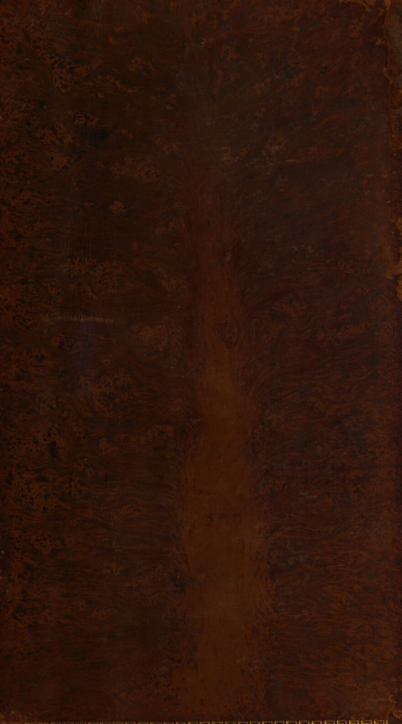 ct ee i, - oA es =e pte Ae