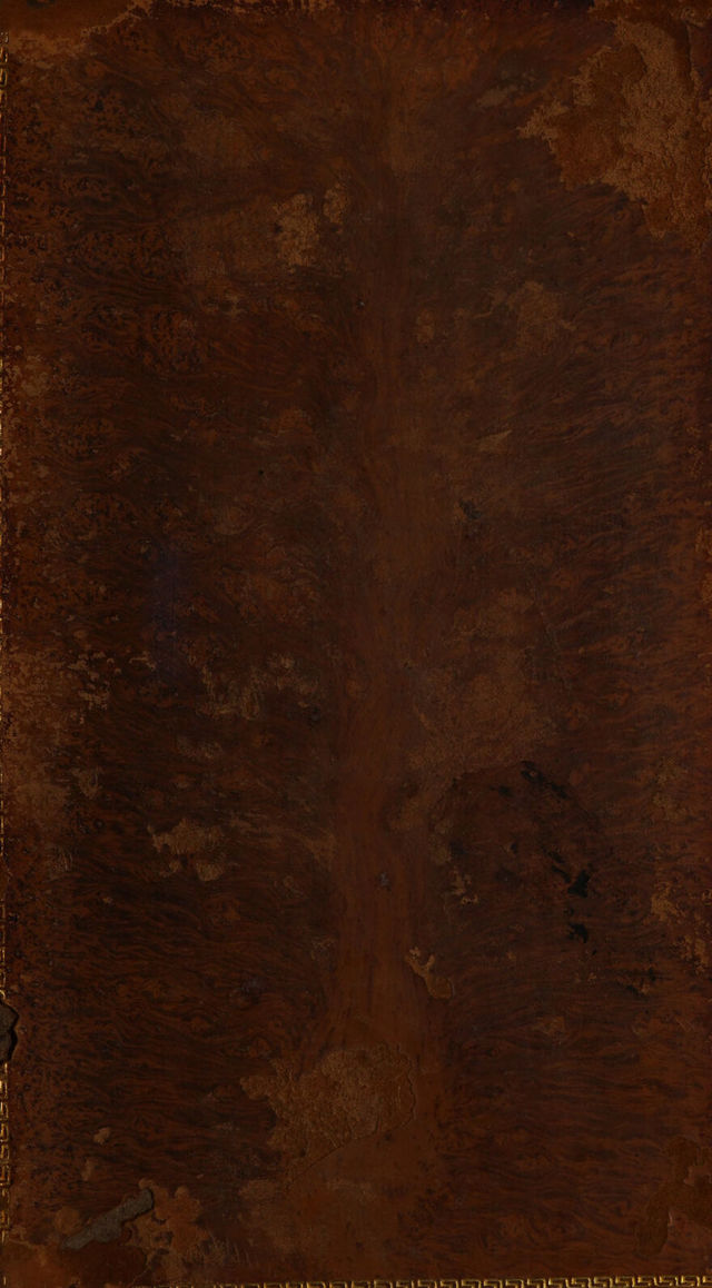 No text description is available for this image