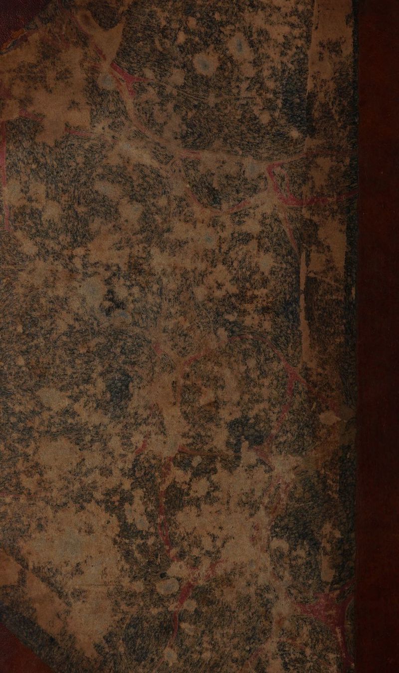 No text description is available for this image