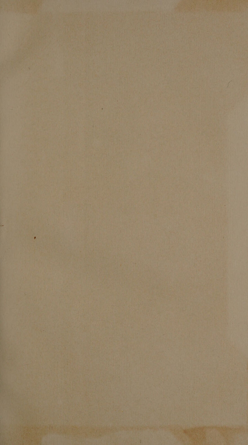 “Ss ~~ 2 -_ ee A , Mae adh \ ; ; Fats tt ¢ mat