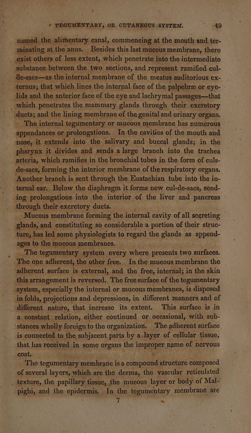 ~ named. the alimentary canal, commencing at the mouth and ter- minating ; at the anus. _ Besides this last mucous membrane, there ¥ The internal tegumentary or mucous membrane has numerous appendances or prolongations. — In the cavities of the mouth and nose, it extends. into the ‘salivary and buccal glands; in the pharynx i it divides. and sends a large branch into the trachea de-sacs, forming 1 the interior membrane of the respiratory organs. ternal ear. . Below the diaphragm it. forms new cul-de-sacs, send- ing prolongations into the interior of the liver and pancreas through their. excretory ducts. a . Mucous membrane forming the internal ats of all secreting. glands, and pone! tthe so considerable. a bentien « of their struc- ages v4 Ger mucous a ren _ The tegumentary system every ‘where alla two sahiess , The one adherent, the other free. Inthe mucous membrane the adherent surface is external, .and the free, internal; in the skin this arrangement i is reversed. The free surface of the tegumentary system, especially. the internal or mucous membranes, is disposed in folds, projections and depressions, i in different manners and of different nature, that increase its extent. This surface is in a constant. relation, either continued or occasional, with sub- stances wholly foreign to the organization. - The adherent surface is connected. to the subjacent parts by a layer of cellular tissue, that has received in some oreans | the i improper, name of nervous coat. : ” The tegumentary he isa ohana structure eiposed of several layers, which are the derma, the vascular reticulated pighi, and the epidermis. idm. the tegumentary. membrane are 7 “