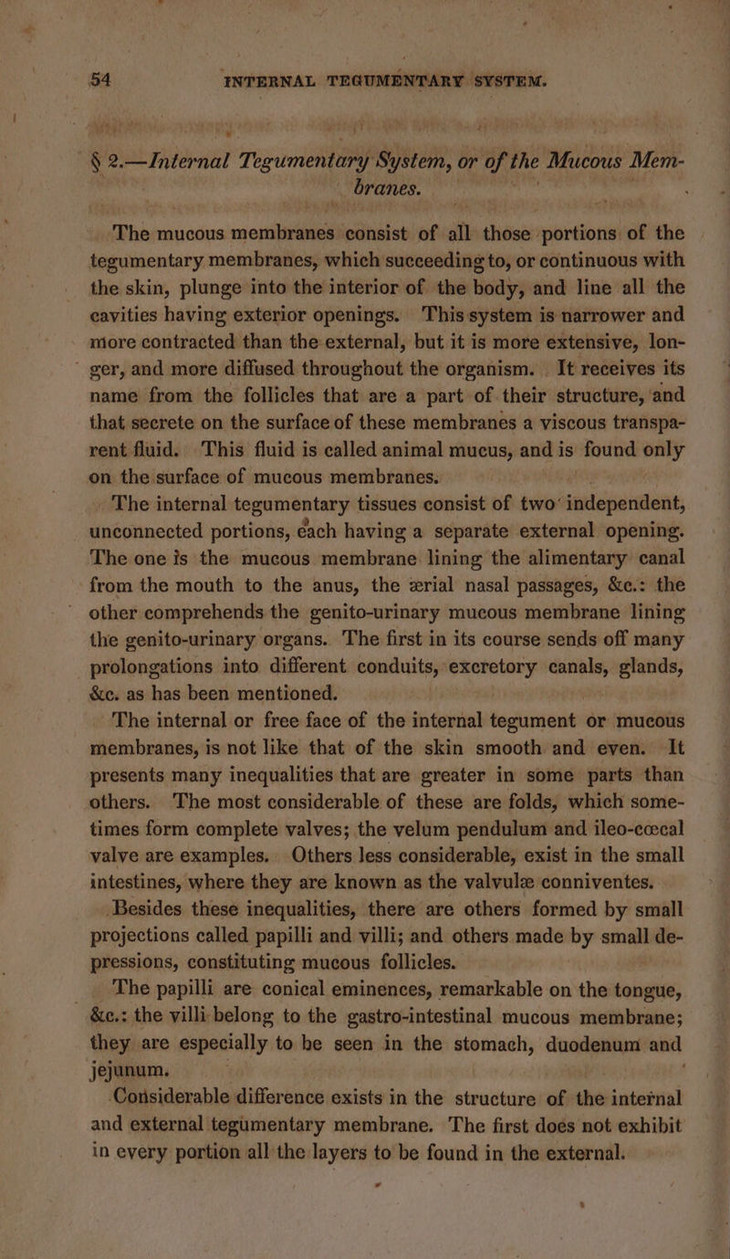2 2.—Internal Togumentary System, or of alg Mucous Mem- branes. | ah ‘The mucous membranes consist of all thiiaa portions. of the tegumentary membranes, which succeeding to, or continuous with the skin, plunge into the interior of the body, and line all the cavities having exterior openings. This system is narrower and more contracted than the external, but it is more extensive, lon- - ger, and more diffused throughout the organism. It receives its name from the follicles that are a part of their structure, and that secrete on the surface of these membranes a viscous transpa- rent fluid. This fluid is called animal mucus, and is found wi on the surface of mucous membranes. | The internal tegamentary tissues consist of two’ nee unconnected portions, each having a separate external opening. The one is the mucous membrane. lining the alimentary canal from the mouth to the anus, the zrial nasal passages, &amp;c.: the other comprehends the genito-urinary mucous membrane lining the genito-urinary organs. The first in its course sends off many _prolongations into different ise elt pi glands, &amp;c. as has been mentioned. The internal or free face of the internal tegument or mucous membranes, is not like that of the skin smooth and even. It presents many inequalities that are greater in some parts than others. The most considerable of these are folds, which some- times form complete valves; the velum pendulum and ileo-ccecal valve are examples, Others less considerable, exist in the small intestines, where they are known as the valvulez conniventes. Besides these inequalities, there are others formed by small projections called papilli and villi; and others made ny small de- pressions, constituting mucous follicles. The papilli are conical eminences, remarkable on the tongue, - &amp;e.: the villi belong to the gastro-intestinal mucous membrane; they are especially to he seen in the stomach, duodenum and jejunum. Considerable difference exists in the structure of the internal and external tegumentary membrane. The first does not exhibit in every portion all the layers to be found in the external. ¥
