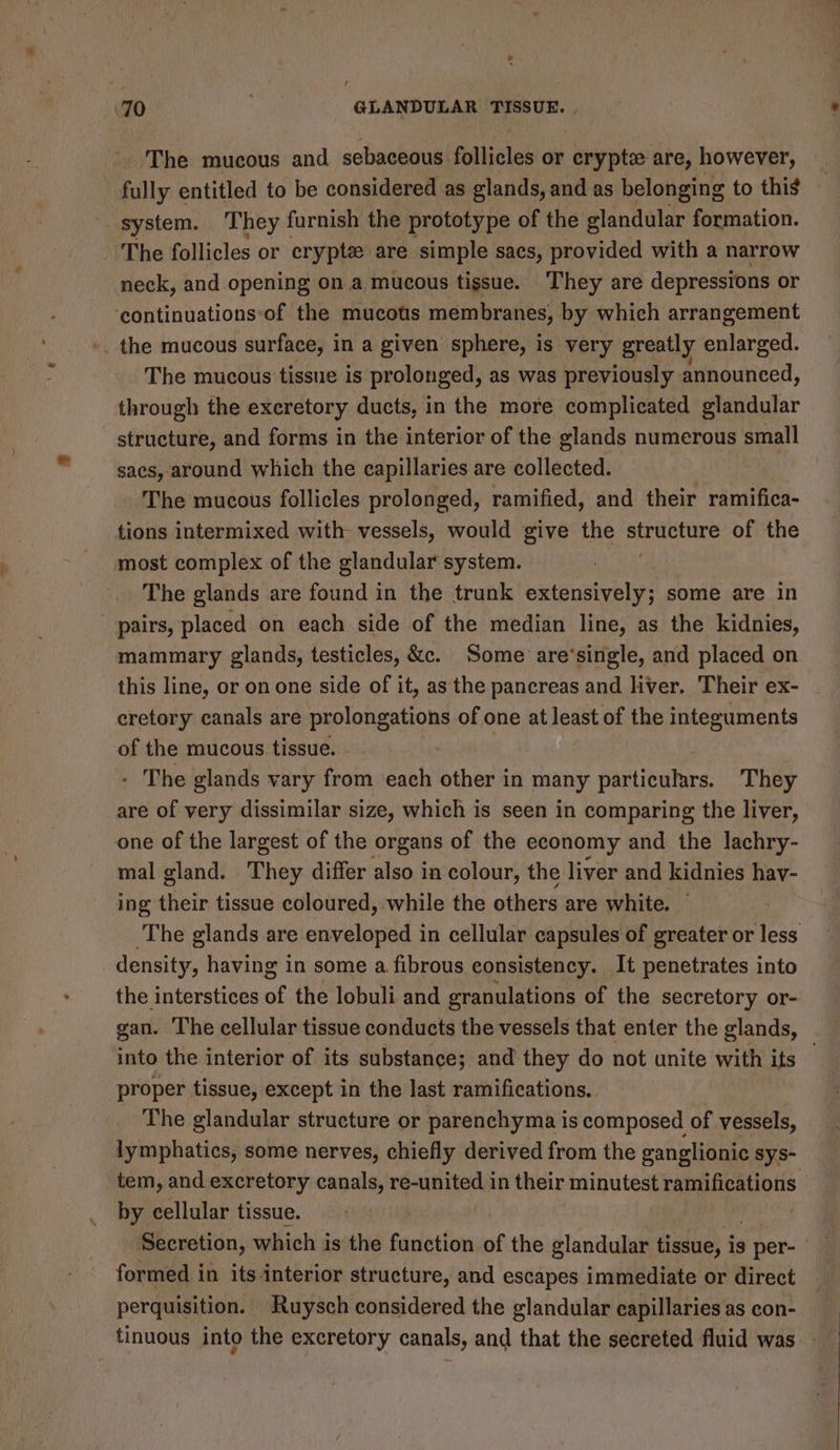The mucous and sebaceous follicles or crypts are, however, _ fully entitled to be considered as glands, and as belonging to thi _ system. They furnish the prototype of the glandular formation. The follicles or erypte are simple sacs, provided with a narrow neck, and opening on a mucous tissue. They are depressions or continuations-of the mucous membranes, by which arrangement -. the mucous surface, in a given sphere, is very greatly enlarged. The mucous tissue is prolonged, as was previously announced, through the excretory ducts, in the more complicated glandular structure, and forms in the interior of the glands numerous small sacs, around which the capillaries are collected. The mucous follicles prolonged, ramified, and their ramifica- tions intermixed with- vessels, would give the ek tad of the most complex of the glandular system. The glands are found in the trunk extensively; some are in pairs, placed on each side of the median line, as the kidnies, mammary glands, testicles, &amp;c. Some are‘single, and placed on this line, or on one side of it, as the pancreas and liver. Their ex- - eretory canals are prolongations of one at least of the integuments of the mucous tissue. - The glands vary from each other in many particulars. They are of very dissimilar size, which is seen in comparing the liver, one of the largest of the organs of the economy and the lachry- mal gland. They differ also in colour, the liver and kidnies hay- ing their tissue coloured, while the others are white. The glands are enveloped in cellular capsules of greater or less density, having in some a fibrous consistency. It penetrates into the interstices of the lobuli and granulations of the secretory or- gan. The cellular tissue conducts the vessels that enter the glands, into the interior of its substance; and they do not unite with its proper tissue, except in the last ramifications. The glandular structure or parenchyma is composed of vessels, lymphatics, some nerves, chiefly derived from the ganglionic sys- _tem, and excretory canals, re-united in their minutest ramifications by cellular tissue. | . Secretion, which is the function of the glandular tissue, is per formed in its interior structure, and escapes immediate or direct perquisition. Ruysch considered the glandular capillaries as con- tinuous into the excretory canals, and that the secreted fluid was. -