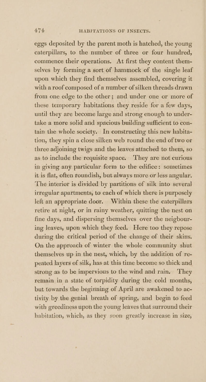 egos deposited by the parent moth is hatched, the young caterpillars, to the number of three or four hundred, commence their operations. At first they content them- selves by forming a sort of hammock of the single leaf upon which they find themselves assembled, covering it with a roof composed of a number of silken threads drawn from one edge to the other; and under one or more of these temporary habitations they reside for a few days, until they are become large and strong enough to under- take a more solid and spacious building sufficient to con- tain the whole society. In constructing this new habita- tion, they spin a close silken web round the end of two or three adjoining twigs and the leaves attached to them, so as to include the requisite space. ‘They are not curious in giving any particular form to the edifice: sometimes it is flat, often roundish, but always more or less angular. The interior is divided by partitions of silk into several irregular apartments, to each of which there is purposely left an appropriate door. Within these the caterpillars retire at night, or in rainy weather, quitting the nest on fine days, and dispersing themselves over the neigbour- ing leaves, upon which they feed. Here too they repose during the critical period of the change of their skins. On the approach of winter the whole community shut themselves up in the nest, which, by the addition of re- peated layers of silk, has at this time become so thick and strong as to be impervious to the wind and rain. ‘They remain in a state of torpidity during the cold months, but towards the beginning of April are awakened to ac- tivity by the genial breath of spring, and begin to feed with greediness upon the young leaves that surround their habitation, which, as they soon greatly increase in size,