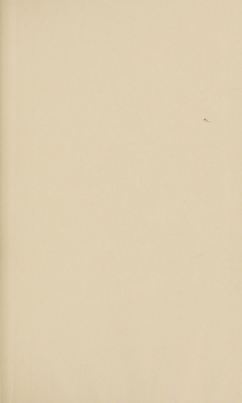 i ak n an q 4 U Pi * . ’ = y “ A ; t i : y - r + i wv 4 ( ‘ a * - gras - ; - 4 4 5 1 . u te 4 “ fa : 5 \ . * i p= | f rik i. ; } a 7 J i a 4 ae t { a a ! s < = 7 PUN f F oe a ; . “4 2 ¥ 4 e } 4 di ‘ By hk 4 1 + fr o r + a fee <2 : . mee vi ¥ = ' ‘ <‘ 4 u t é ‘ \ + - i . y a ; | oe : - ONS i + TS £% aa