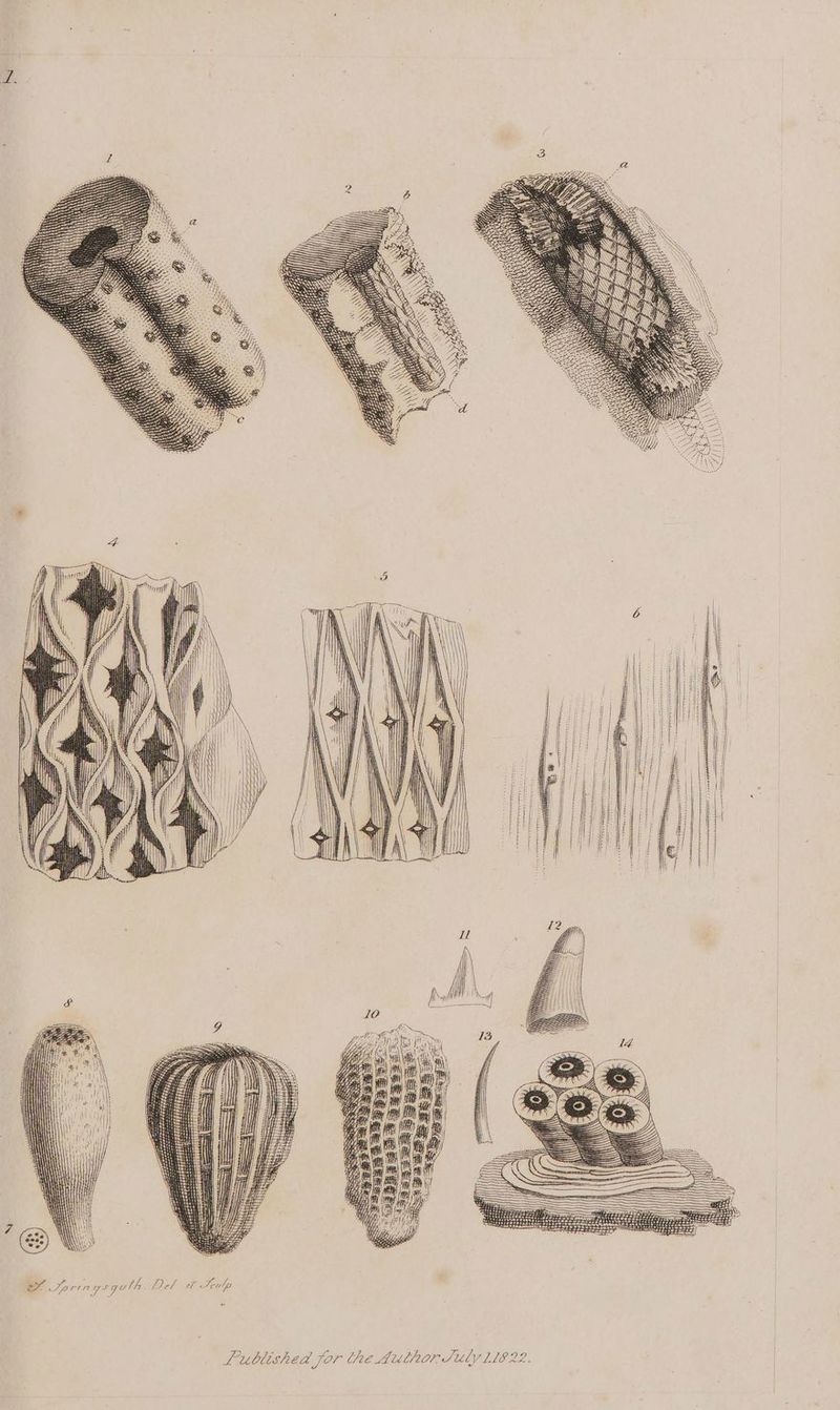 =. Sarin ys goth D2f Teulp Lublished jor the Author July 118 22. ¢