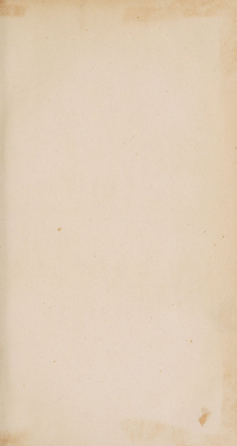 aay ae Tah a ea Wit pice airs Se.