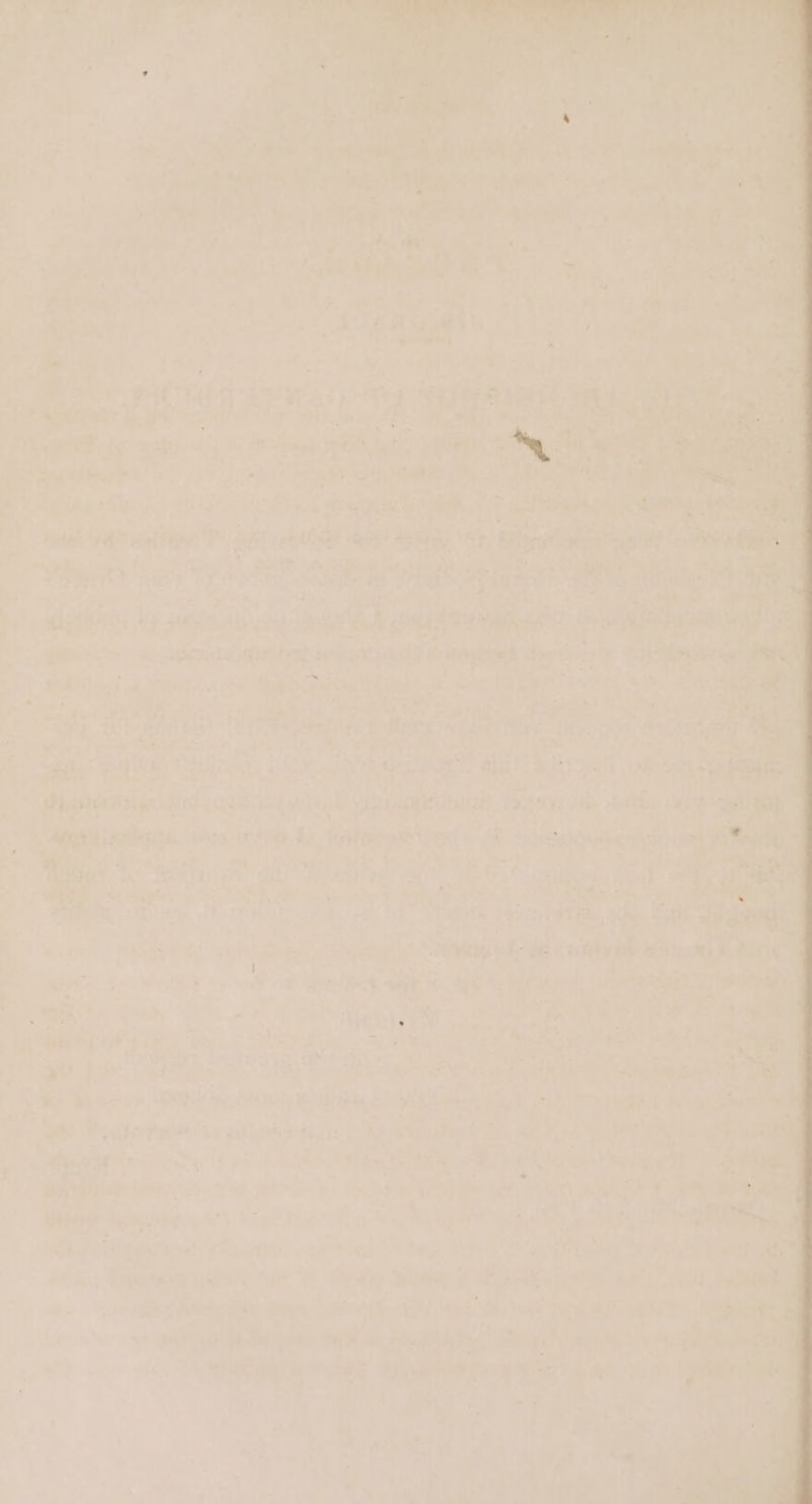 L '  a, 6 mu én \ 2 ; ? Pee : ial wad kr 9 = . , i \ 2 e : ? a 7 ‘ af ’ ' : in : “a hn ‘ ad , i yes ae Oy i a | ‘&gt; * ' - Ke * ty = ’ 3 iy. nf Bn bs * P ri wrt t / at 2.18 &gt;! / + bs ‘ ay e ony ; bi | el ta ‘(eas So | Waele 44107404 j oi Ue beet f ‘ ,) ,. . | a eT oe 4 Pe 27 Pie, Pale: oe eens : . “s &gt; - s * F « - at d b * ‘ ba : al ~hg*, SMORPOD fits grag PY peg? Yet as baie 5 Mag ON Se a. ie ‘ v0 7 Fe, ; A r sat oy Ae S a - Tal ats e . . ‘a; 76.4 * 4 Co rc a » a itp af “Y Raph tee Shee 0 thoes ee i . so f } , , in ‘ - , . seve f De ¢ bteee veeies « - he De. cs tn ; Seth ‘ea ee are. per ET cagiy *: Nea ~ i Wop et wi Se: . . | ‘y Lae | 7. . a i a of #4 3 ce e “ wy 4 @-* Pe | ~~ a cP oN j 4 A Z * - - ; p ’ on 4 %; t 4 ab. ; a s 44 &amp; 7 , , “@ ree ‘ “4 « b] a 2 ; ist * ’ ee es 4 ) rt. ; . eT. +X VAs, 6 ht lied MT p i Whe, “ a : ‘ ~ 7 “ et a «sehlet be ig itr uf 4 ie uf thse Te 7 = ; ne wey . ‘ A 1 L% 7 - » } CPB is {ul . { ; ti ‘ oe » “46 tee f s - ‘ I ; 4 apo ; “ | t a , =) *, A ty —N I - 3 J . is —_ . “. f ‘ f &gt; . - ¥ ‘ Z T r. i * é ri ’ bee 7 i « r os Ly Ls | bet Pree) oe © + ji] a di5i pe oR : its ‘ , 3 ; ee Mh an ‘ bol te i a a “9! + 1397 * Py ‘ ; A q f= hee Ceatlegccs vite Sy tiesto et! - ot Sieenouedis ’ * : Pp a i] a A ° . + 7. Oy | eae a ova x » , ‘4 bd a: . ote eae ; ; ; ee =p 4 ; AD » &gt; ea a4 \ ¥ L s ¥ , iL: oe eo Ete ye eS ; ! ‘ gi &lt;&lt; . : 4 + Vey _ Ce te J ’ Ppa Pe f » 45 \ Ps , ; dat: ; be) : &lt;i Zoe ° A Si.° ~~ e é i? . 4 ’ %) : é ? erly Ne Oh  : iat ; ‘ a J : . 2 hh 9 ¢ vy ‘ae | a ' 4 be ; ; , a ¥ ‘ . - ‘4’ ’ ‘ YA *» a 4, 2 a ‘ re 3 . wri i a. Pig, ee ® vie y ' : : aa &gt; ce * / : nd