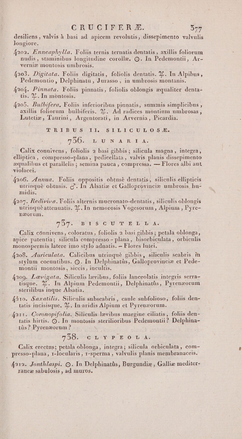 desiliens , valvis à basi ad. apicem revolutis, dissepimento valvulis longiore. 4202. Enneaphyl/a. Foliis ternis ternaus dentaus , axillis foliorum nudis, staminibus longitudine corolle. (Q. In Pedemonuii, Ar- vernis? montosis déioLiP 4203. Digitata. Foliis digitatis, foliolis dentatis. 27. In Alpibus, Pedemonuüo, Delphinatu , Jurasso , in umbrosis montanis. 4204. Pinnata. Foliis pinnatis, foliolis oblongis equaliter denta- tis. 27. In montosis. 4205. Bulbifera. Foliis inferioribus piunatis, summis simplicibus , axillis foliorum bulbifevris. 27. Ad radices montium umbrosas , Luteti: , l'aurini, Argentorati, in. Arvernia, Picardia. TRIBUS II. SILICULOS E. sÓDUbRUUN A RI E Calix connivens, foliolis 2 basi gibbis ; silicula magna, integra, elliptica, compresso-plana ] pediceliata, valvis planis dissepimento zqualibus et parallelis ; semina pauca , compressa, — Flores albi aut violacei. | 4206. ^nnua. Foliis oppositis obtusé dentatis, siliculis ellipticis utrinque obtusis. c?. In Alsatize et Galloprovineia umbrosis hu- midis. 4207. Hediriva. Foliis alternis mucronato-dentaus , siliculis oblongis utrinque attenuatis, 27. In nemorosis Vogesorum , Alpium , Pyre- niorum. 52m. B s OU TET. Calix cónnivens, coloratus , foliolis 2 basi gibbis; petala oblonga, apice patentia; silicula compresso - plana, bisorbiculata , orbiculis monospermis latere imo stylo adnaus. — Flores lutei. 4208. Juriculata. Calicibus utrinqué gibbis, siliculis scabris in stylum coeuntibus. o. Ín Delphinatüs, Galloprovincize et Pede- montii montosis, siccis , incultis. 4209. Levigata. Siliculis levibus, foliis lanceolatis integris serra- tisque. y. In Alpium Med epuantil) Delphinatás , Pyrenzorum sterilibus inque Alsatia. 4510. Saxatilis. Siliculis subscabris , caule subfolioso, foliis den- tatis incisisque. 2L. In aridis Alpium et Pyrenzorum. (42r. Coronopifolia. Siliculis levibus margine ciliatis, foliis den- tatis hirtis. Q. In montosis : sterilioribus Pedemontii ? Delpbhina- iüs? Pyrenzorum ? 7505 veo ey p € ier d Calix erectus; petala oblonga, integra; silicula orbiculata, com- presso-plana, 1-locularis , 1-sperma , valvulis planis membranaceis. 4212. Jonthlaspi. OQ. In Delphinatàs, Burgundie , Gallie mediter- ranes sabulosis , ad muros.