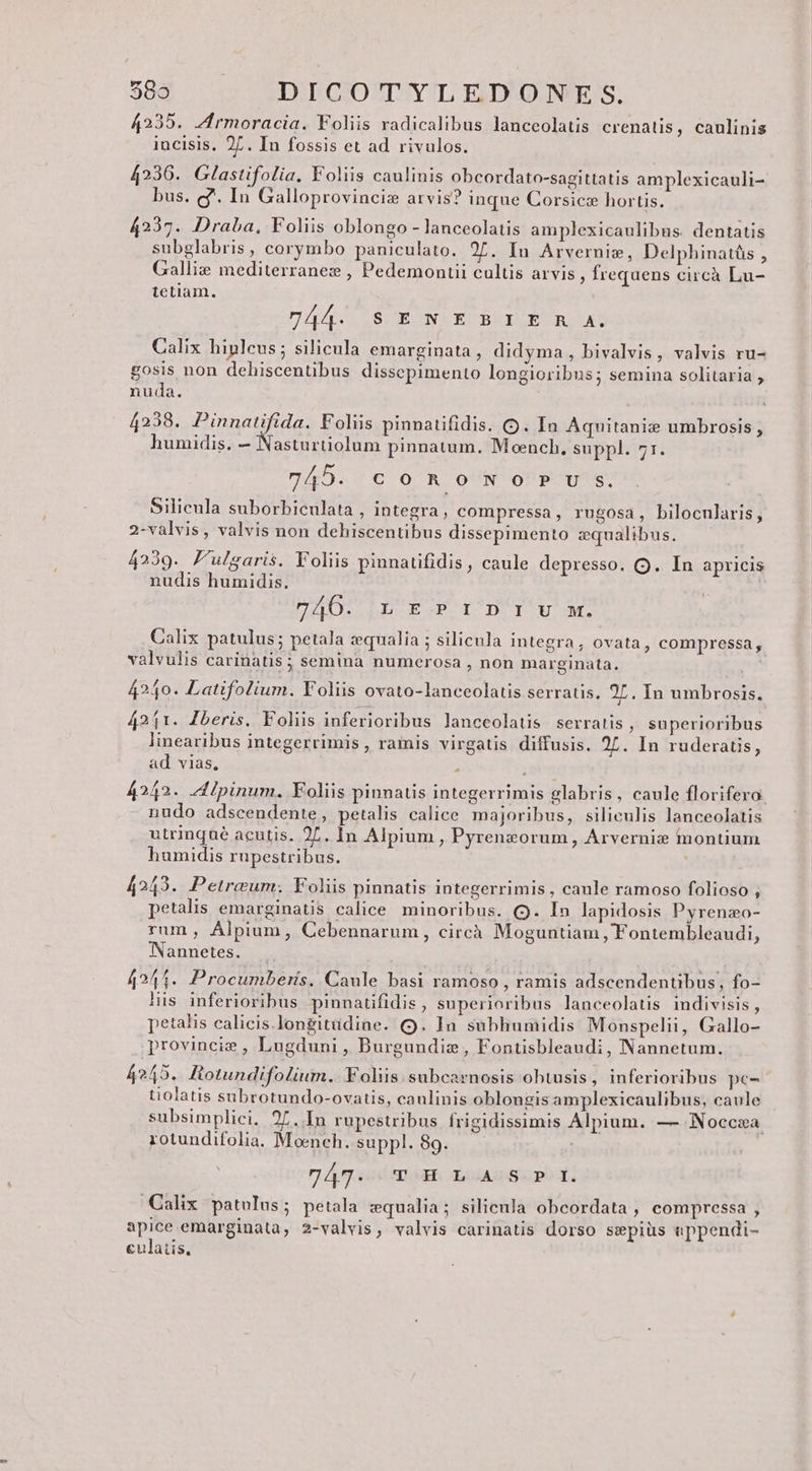 4235. Zrmoracia. Foliis radicalibus lanceolatis crenatis, caulinis incisis. 2L. In fossis et ad rivulos. 4236. Glastifolia, Foliis caulinis obcordato-sagittatis amplexicauli- bus. g'. In Galloprovincis arvis? inque Corsice hortis. 4237. Draba, Foliis oblongo - lanceolatis amplexicaulibus. dentatis subglabris, corymbo paniculato. 27. Iu Arvernis, Delphinatàs , Gallis mediterranes , Pedemontii cultis arvis, frequens circà Lu- tetiam. 744. SENEBIE R A. Calix hinlcus ; silicula emarginata, didyma, bivalvis, valvis ru- gosis non dehiscentibus dissepimento longioribus; semina solitaria , nuda. 4238. Pinnatifida. Foliis pinnatifidis. OQ. In Aquitanie umbrosis , humidis. — Nasturtiolum pinnatum. Moench., suppl. 71. 745. CORONOTPU. s. Silieula suborbiculata , integra, compressa, rugosa, bilocnlaris, 2-valvis, valvis non dehiscentibus dissepimento zqualibus. 4239. 'ulgaris. Foliis pinnatifidis, caule depresso. OQ. In apricis nudis humidis, 7406. Lor up ru M Calix patulus; petala :equalia ; silicnla integra, ovata, compressa , o 4, valvulis carinatis ; semina numerosa , non marginata. 4240. Latifolium. Foliis ovato-lanceolatis serratis. 2L. In umbrosis. 4211. Zberis. Foliis inferioribus lanceolatis serratis, superioribus linearibus integerrimis , ramis virgatis diffusis. 27. In ruderatis, ad vias, : 4242. A Ipinum. Foliis pinnatis integerrimis glabris, caule florifero. nudo adscendente, petalis calice majoribus, siliculis lanceolatis utrinqué acutis. 27. In Alpium , Pyrenzorum, Arverniz montium humidis rupestribus. 4243. Petreum. Foliis pinnatis integerrimis, canle ramoso folioso , petalis emarginatis calice minoribus. Q. In lapidosis Pyrenzo- rum, Alpium, Cebennarum, circà Moguntiam, Fontembleaudi, Nannetes. 4211. Procumberis. Caule basi ramoso , ramis adscendentibus, fo- lis inferioribus pinnatifidis , superioribus lanceolatis indivisis, petalis calicis.longitüdine. (9. In. subhumidis Monspelii, Gallo- provincie , Lugduni , Burgundie , Fontisbleaudi, Nannetum. 4245. Botundifolium.. Foliis. subcarnosis obtusis, inferioribus pe- tiolatis subrotundo-ovatis, caulinis oblongis amplexicaulibus, caule subsimplici. 27. In rupestribus frigidissimis Alpium. — Noccsa. rotundifolia. Moench. suppl. 89. ; 7] Af o SEE osA SP» 1E. Calix patolus; petala zqualia; silicula obcordata , compressa , apice emarginata, 2-valvis, valvis carinatis dorso smpiüs uppendi- culatis,
