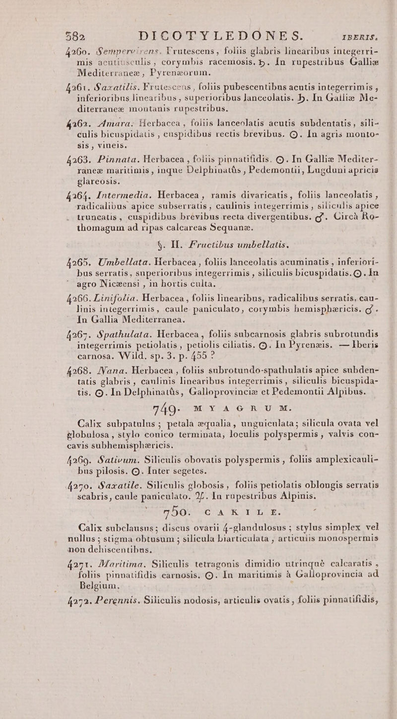 e 4260. Sempereirens. Vrutescens, folis glabris linearibus integerri- mis acutiusculis, corymbis racemosis, b. In rupestribus Galliw Mediterranez , Pyreneorum. 42361. S'axatilis. Fratescens , (oliis pubescentibus acutis integerrimis , inferioribus linearibus , superioribus Janceolatis. b. In Gailie Me- diterranez montanis rupestribus. 4362. zmara; iierbacea , foliis lanceolatis acutis subdentatis , sili- culis bicuspidatis , caspidibus rectis brevibus. (Q. In agris monto- SIS , vineis. 4263. Pinnata. Herbacea , foliis pinnatifidis. Q. In Gallie Mediter- ranee maritimis , inque Delphiuatàs , Pedemontii, Lugduni apricis glareosis. 4364. Intermedia. Herbacea , ramis divaricatis, foliis lanceolatis , radicalibus apice subserratis , caulinis integerrimis , siliculis apice iruncatis , cuspidibus brevibus recta divergentibus. gf. Circà RA o- thomagum ad ripas calcareas Sequanz. $. II. Fructibus umbellatis. 4265. Umbellata. Herbacea , foliis lanceolatis acuminatis , inferiori- bus serratis, superioribus integerrimis , siliculis bicuspidauis. Q9. In agro Nicszensi , in horus culta. 4266. LinifoZia. Herbacea , foliis linearibus, radicalibus serratis, cau- linis integerrimis, caule paniculato, corymbis hemispharicis. gf. In Gallia Mediterranea. 4267. Spathulata. Merbacea , foliis subcarnosis glabris subrotundis integerrimis petiolatis , petiolis ciliatis. CQ). In Pyrenzis. — Iberis carnosa. Wild. sp. 3. p. 455 ? 4268. IVana. Herbacea , foliis subrotundo-spathulatis apice subden- tatis glabris, caulinis linearibus integerrimis , siliculis bicuspida- tis. 9. In Delphinatás, Galloprovincie et Pedemontii Alpibus. 749- MOYCAOOQ ROUCM. Calix subpatulus ; petala qualia, unguiculata; silicula ovata vel £lobulosa, stylo conico terminata, loculis polyspermis , valvis con- cavis subhemisphericis. 4269. Sativum. Siliculis obovatis polyspermis , foliis amplexicauli- bus pilosis. Q. Inter segetes. 4270. SSaxatile. Siliculis globosis, foliis petiolatis oblongis serratis scabris, caule pauiculato. 27. In rupestribus Alpinis. WitrHo0u un cA TK ODELOUR; : Calix subclausus; discus ovarii 4-glandulosus ; stylus simplex vel nullus ; stigma obtusum ; silicula biarticalata , articuiis nionospermis non dehiscentibus. 4271. AMaritima. Siliculis tetragonis dimidio utrinqué calcaratis , foliis pinnatifidis carnosis. OQ. In maritimis à Galloprovincia ad Belgium. 4272. Perennis. Siliculis nodosis, articulis ovatis , foliis pinnatifidis,