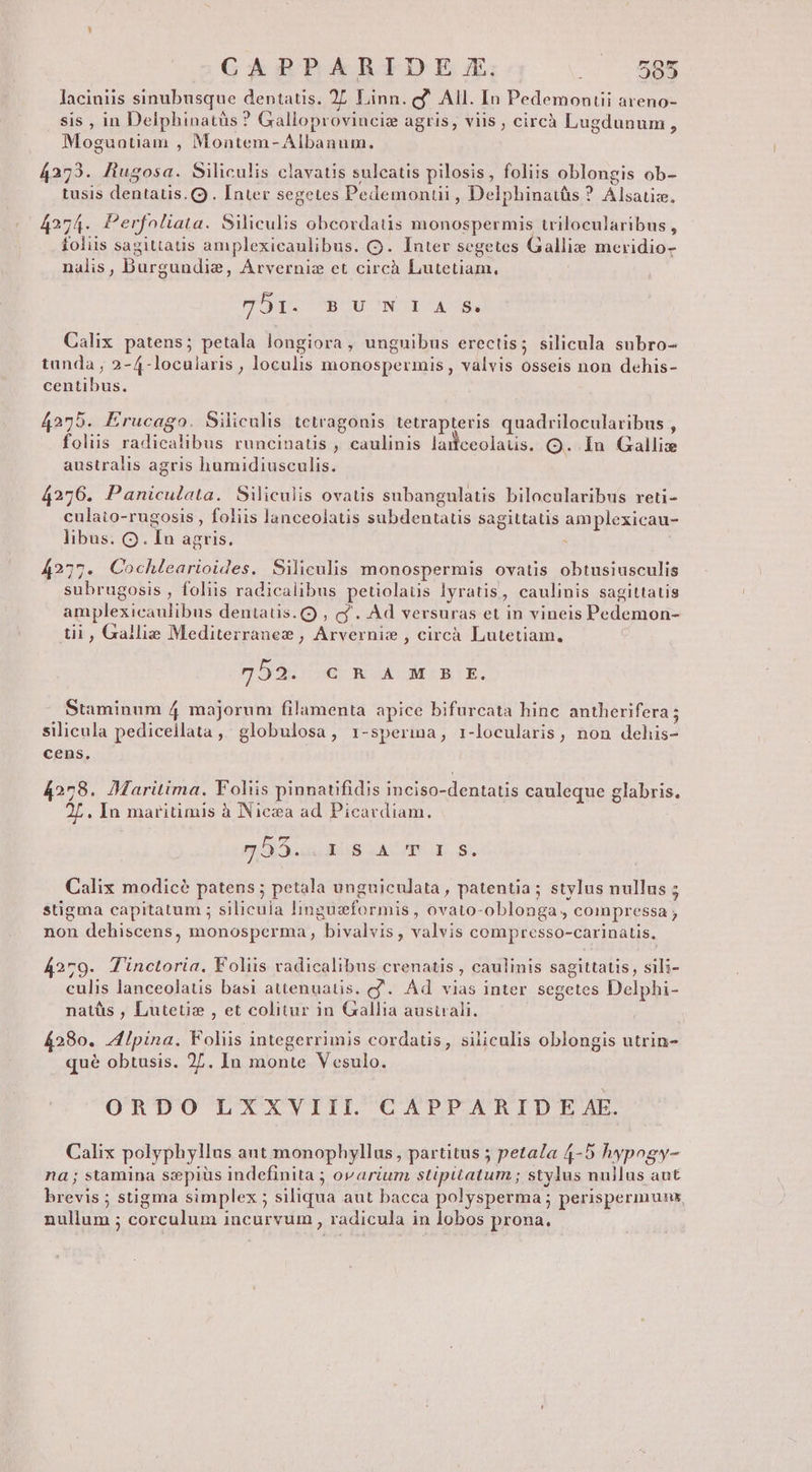 CAPPARIDE X. DIC TEME laciniis sinubusque dentatis. 27 Linn. g* All. In Pedemonui areno- sis , in Delphinatüs ? Galloprovinciz agris, viis, circà Lugdunum, Moguatiam , Montem- Albanum. 4273. fiugosa. Siliculis clavatis sulcatis pilosis, foliis oblongis ob- tusis dentatis. . Inter segetes Pedemonuüi , Delphinatüs ? Alsatiz, 4274. Perfoliata. Siliculis obcordatis monospermis trilocularibus , foliis sagittatis amplexicaulibus. (9. lauter segetes Gallie meridio- nalis, Burgundie, Arverniz et circà Lutetiam. poqu gru wor ds. Calix patens; petala longiora, unguibus erectis; silicula subro- tunda , 2-4-locularis , loculis monospermis , valvis osseis non dehis- centibus. 4275. Erucago. Siliculis tetragonis tetrapteris quadrilocularibus , foliis radicalibus runcinatis , caulinis laifceolaus. (Q. Iu Gallix australis agris humidiusculis. 4276. Paniculata. Siliculis ovatis subangulatis bilocularibus reti- culaio-rugosis , foliis lanceolatis subdentatis sagittatis amplexicau- libus. Q. In agris. : 4277. Cochlearioides. Siliculis monospermis ovatis obtusiusculis subrugosis , foliis radicalibus petiolaus lyratis, caulinis sagittatis amplexicaulibus dentatis. Q , cf. Ad versuras et in vineis Pedemon- tii, Gallie Mediterranee , Arverniz , circà Lutetiam, 752. CR AM B E. Staminum 4 majorum filamenta apice bifurcata hinc antherifera ; silicula pediceilata, globulosa, 1-sperma, 1-locularis, non dehis- cens. 4278. Maritima. Foliis pinnatifidis inciso-dentatis cauleque glabris. 27. In maritimis à Nicza ad Picavdiam. 93.3 uu AUS eA 8. Calix modicé patens; petala unguiculata, patentia; stylus nullus ; stigma capitatum ; silicula linguzformis , ovato-oblonga , coinpressa non dehiscens, monosperma , bivalvis, valvis compresso-carinatis, 4279. Tinctoria. Foliis vadicalibus crenatis , caulinis sagittatis, sili- culis lanceolatis basi attenuatis. c. Ad vias inter segetes Delphi- natüs , Lutetie , et colitur in Gallia ausiali. 4280. 4Ipina. Volis integerrimis cordatis, siliculis oblongis utrin- qué obtusis. 27. In monte Vesulo. ORDO LXXVIII. CAPPARIDE AE. Calix polyphyllus aut monophyllus , partitus ; petala 4-5 hypogy- na; stamina ssepius indefinita ; OP GPUi stiputatum ; stylus nuijlus aut brevis ; stigma simplex ; siliqua aut bacca polysperma ; perispermunx, nullum ; corculum incurvum , radicula in lobos prona,