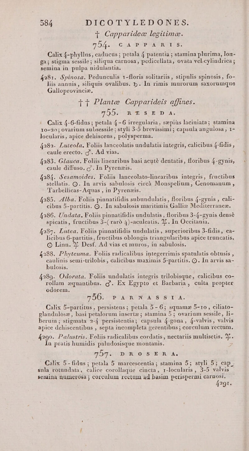 1 Capparidec legitime. 55/45. Gy PXPNEEROTIS: Calix 4-phyllus, caducus ; petala 4 patentia ; stamina plurima, Ion- ga; stigma sessile; siliqua carnosa , pedicellata, ovata vel,cylindrica; semina in pulpa nidulantia. 4281. Spinosa. Pedunculis r-floris solitariis , stipulis spinosis, fo- liis annuis, siliquis ovalibus. £. In rimis murorum saxorumque Galloprovincis, Tt Plante Capparideis affines. 355, WES. ED A, Calix 4-6-fidus; petala 4 - 6 irregularia, sepiüs laciniata; stamina 10-20; ovarium subsessile ; styli 3-5 brevissimi ; capsula angulosa , 1- locularis, apice dehiscens, polysperma. 4282. Luteola. Foliis lanceolatis undulatis integris, calicibus 4-fidis , caule erecto. c. Ad vias. 4283. Glauca. Foliis linearibus basi acuté dentatis, floribus 4-gynis, caule diffuso, c/'. In Pyrenzis. 4284. SSesamoides. Foliis lanceolato-linearibus integris, fructibus stellatis. Q. Iu arvis sabulosis circà Monspelium; Cenomanum , 'Tarbellicas- Aquas , in Pyrenzis. 4285. Alba. Foliis pinnatifidis subundulatis, floribus 4-gynis , cali- cibus 5-partitis. OQ. In sabulosis maritimis Gallis Mediterranez. 4286. Undata. Foliis pinnatifidis undulauis , floribus 3-4-gynis densé spicatis, fructibus 3-( raró 4)-aculeatis. 27. In Occitania. 4287. Lutea. Foliis pinnatifidis undulatis , superioribus 3-fidis, ca- licibus 6-partiüis , fructibus oblongis triangnlaribus apice truncatis. Q Linn. 2c Desf. Ad vias et muros, in sabulosis. 4288. Phyteuma. Foliis radicalibus integerrimis spatulatis obtusis , caulinis semi-trilobis , calicibus maximis 5-partitis. (Q. In arvis sa- bulosis. 4289. Odorata. Foliis undulatis integris trilobisque, calicibus co- rollam zquantibus. g'. Ex Egypto et Darbaria, culta propter odorem. 7560. PARNASSIA. Calix 5-partitus , persistens ; petala 5 - 6; squama 5-10, ciliato- glanduloss, basi petalorum insertz ; stamina 5 ; ovarium sessile, li- berum; stigmata 2-4 persistentia; capsula 4-gona, 4-valvis, valvis apice dehiscentibus , septa incompleta gerentibus; corculum rectum. 4290. Palustris. Foliis radicalibus cordatis , nectariis multisetis. 2f. in pratis humidis paludosisque montanis. ; ; 757. D R OS E R A. Calix 5- fidus; petala 5 marcescentia ; stamina 5; styli 55; cap, sula rotundata, calice corollaque cincta, 1-locularis , 3-5 valvis semina numerosa; corculum recttun ad basim perispermi carnost. 4291.
