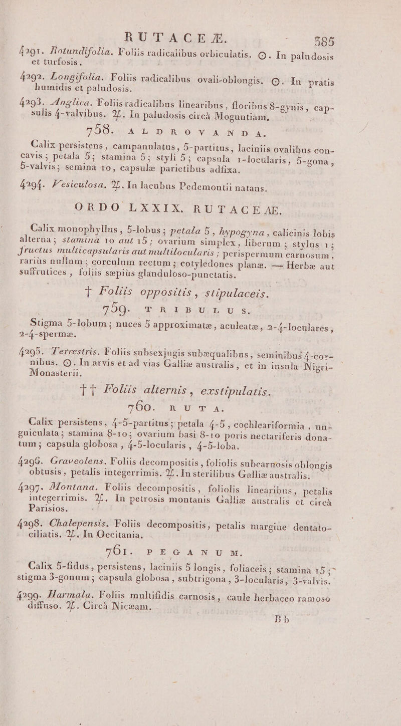 RUTACKE X. 565 4291. Hotundifolia, Foliis radicalibus orbiculatis. Q. In paludosis et turfosis. 4292. Longifolia. Foliis radicalibus ovali-oblongis. CO. In pratis huridis et paludosis. 4293.. 4dInglica. Foliis radicalibus linearibus , floribus 8-gynis, cap- sulis 4-valvibus. 25. In paludosis circà Moguntiam, O0. A f HE ROO (VW UNODS Y. Calix persistens, campanulatus, 5- partitus , laciniis ovalibus con- cavis ; petala 5; stamina 5; styli 5; capsula r-locularis, 5-gona, 5-valvis; semina 10, capsule parietibus adíixa. 4291. J'esiculosa. 2L. In lacubus Pedemontii natans. ORDO LXXIX. RUTACE AE. Calix monophyllus , 5-lobus ; petala 5, hypog»yna , calicinis lobis alterna; stamina 10 aut 15; ovarium simplex, liberum ; stylus 1; jructus multicapsularis aut multilocularis ; perispermum carnosum , rarius nullum ; corculum rectum ; cotyledones plans. — Herbs aut suifrutices , foliis szepiüs glanduloso-punctatis. Foliis oppositis , sti ulaceis. P ) ZOQ. cp alu x uU $51 Stigma 5-lobum ; nuces 5 a roximate , aculeatze, »-4-locnlares 8 ) PP ; 2-4 , 2-4-spermse., 4295. J'errestris. Foliis subsexjugis subzqualibus , seminibus 4-co»- nibus. (Q. In arvis et ad vias Gallie australis , et in insula Nigri- Monasterii. lt Folüs alternis, exstipulatis. 760. K U- (P A. : l E ; Calix persistens , 4-5-partitus ; petala 4-5 , cochleariformia , un- guiculata; stamina 8-105; ovarium basi 8-10 poris nectariferis dona- tum ; capsula globosa , 4-5-locularis , 4-5-loba. 4298. Graveolens. Foliis decom positis , foliolis subcarnosis oblongis obtusis, petalis integerrimis. 2L . In sterilibus Galliz australis; 4297. JMontana. Foliis decompositis , foliolis linearibus, petalis integerrimis. 27. In petrosis montanis Gallie australis ct circà Parisios. 298. Chalepensis. Foliis decompositis, petalis mar ine dentato- 99. € P eee I t E ciliatis. 27. In Occitania. 761. P E G A N U M. Calix 5-fidus, persistens, laciniis 5 longis, foliaceis ; stamina 15;^ stigma 3-gonum ; capsula globosa , subirigona , 3-locularis , 3-valvis. 4299. Harmala. Foliis multüfidis carnosis, caule herbaceo ramoso diffuso. 27. Circà Niceam. Db