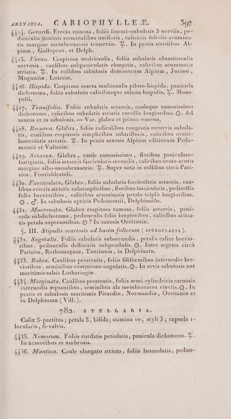 4 (24. Gerardi. Erecta ramosa , foliis lineari-subulatis 3-nerviis, pe- dunculis geminis terminalibus unifloris , calicinis foliolis acumina- tis margine membranaceis trinerviis, 27. In pratis sterilibus Al- pium , Galloprov. et Delph. 4425. Ferna. Cespitosa multicaulis, foliis subulatis obtusiusculis nervosis , caulibus subpaniculatis elongatis, calicibus acuminatis striatis, 27. In collibus sabulosis demissorum Alpium , Jurassi , Moguntize, Lutetiz. 4426. Hispida. Cespitosa erecta multicaulis piloso-hispida, panicula dichotoma , foliis subulatis calicibusque subtüs hispidis. 27. Mons- pelii. 4427. Tenuifolia. Foliis subulatis setaceis, cauleque ramosissimo dichotomo , calieibus subulatis striatis corollis longioribus. Q. Ad muros et in sabulosis. — Var. glabra et piloso-viscosa. 44128. Hecurva. Glabra , foliis radicalibus congestis recurvis subula- tis, caulibus cespitosis simplicibus subtrifloris, calicibus ovato- lanceolatis striatis. 2£. In pratis saxosis Alpium editiorum Pede- montii et Vallesiz. 4429. iSetacea. Glabra , caule ramosissimo , floribus paniculato- fastigiatis , foliis setaceis fasciculatis secundis , calicibus ovato-acutis margine albo-membranaceis. 27. Super saxa in collibus circà Pari- sios, Fontisbleaudi. (130. Fascieulata, Glabra , foliis subulatis fasciculatis setaceis, cau- libus erectis stfictis subsimplicibus , floribus fasciculatis , pedicellis folio brevioribus ,. calicibus acuminatis petalo tripió longioribus, O , d. In sabulosis apricis Pedemoniii, Delphinatás. A31. AMucronata. Glabrá cespitosa ramosa, foliis setaceis ani- 1 pe ae idis d dt cula sübdichotoma , pedunculis folio longioribus , calicibus arista- tis petala superantibus. ? In saxosis Occitaniz. S. 1I. S tipulis scariosis ad basim foliorum ( SPERGULARIA ). 1432. Segetalis. Foliis subulatis subsecundis , petalis calice brevio- PL o uses à Í : ribus, pedunculis defloratis subpendulis. Q. Inter segetes circà Parisios, Rothomagum, Taurinum , in Delphinata. 4433. Rubra. Caulibus prostratis , foliis filiformibus internodio bre- vioribus , seminibus compresso-angulatis. Q . In arvis sabulosis aut maritimis salsis Lotharingia. 4434. Marginata. Caulibus prostratis , foliis semi-cylindricis carnosis internodia z:quantibus , seminibus ala membranacea cinctis.(Q). In pratis et sabulosis maritimis Picardie , Normandiz, Occitaniz et 1n Delphinatu ( Vill. ). jg05$.:58:0oEOL oL ACRACTOA. Calix 5-partitus ; petala 5, bifida; stamina 10; styli 5 ; capsula 1- locularis , 6-valvis. 4435. JIVemorum. Foliis cordatis petiolatis, panicula dichotoma. 2r. Íu nemoribus et umbrosis. 4436. Mantica. Caule elongato stricto; foliis lanceolatis, pedun-
