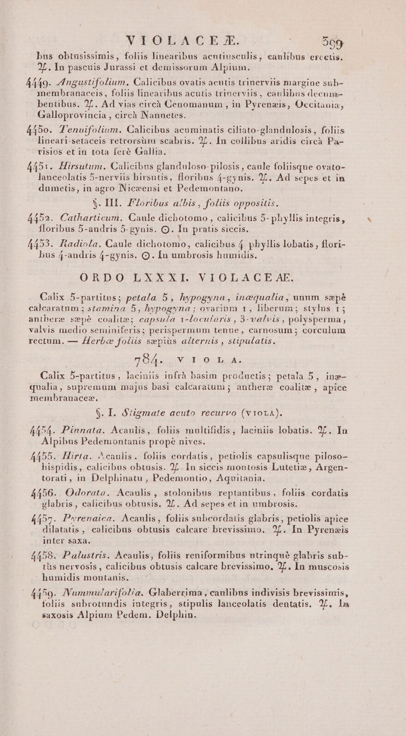 NYTIOLACE £f. ^ 75 bus obtusissimis, foliis linearibus acntiusculis, canlibus erectis. 2L. In pascuis Jurassi et demissorum Alpium. 4449. ngustifolium. Calicibus ovatis acutis trinerviis margine sub- membranaceis , foliis linearibus acutis trinerviis, canlibus decum- bentibus. 27. Ad vias circà Cenomanum , in Pyrenais, Oeccitania;, Galloprovincia , circà Nannetes. 4450. T'enuifolium. Calicibus acuminatis ciliato- glandulosis , foliis lineari-setaceis retrorsüm scabris. 2L. Ín collibus aridis circà Pa- risios et in tota fere Gallia, 4451. Hirsutum. Calicibus glanduloso- pilosis caule foliisque ovato- lanceolatis 5-nerviis hirsutis, floribus 4 4-gynis. 2L. Ad sepes et in dumetis, in agro Niceensi et Pedemontano. s. IH. oribus albis , foliis oppositis. 4452. Catharticum. Caule dichotomo , calicibus 5- phyllis integris, floribus 5-andris 5-gynis. Q. In praus siccis. 4453. Radiola. Caule dichotomo, calicibus 4 phyllis lobaus , flori- y q-andris 4-gynis. Q. In inte humidis. ORDO LXXXI. VIOLACE AE. Calix 5- partitus ; Leda 5, hypogyna , incqualia, unum sxpé calcaratum ; stamina 5, hypogyna ; ovarium 1, liberum; stylus t; antherz spé coalitz; p 1-Zocutaris , 3-valvis, polysperma , valvis medio seminiferis ; perispermum tenue, carnosum ; corculum rectum. — Zferbce folis sepius alternis , sttpulatis. 704. Y 1 0 LA. Calix 5-partitus, laciniis iufrà basim productis; petala 5, ing- qualia, supremum majus basi calcaratum ; antherz coalite , apice membranacez. S. ' BStigmate acuto recureo (v 1014). 4454. Pinnata. ÁAcaulis, foliis multifidis , lacimiis lobatis. 2f. In Alpibus Pedenmontanis prope nives. 4455. Hirta. ^caulis, foliis cordatis, petiolis capsulisque piloso- hispidis, calicibus obtusis. 2L. In siccis montosis Lutetie , Argen- torati, in Delphinatu , Pedemontio, Aquitania. 4456. Odorata. Acauls , stolonibus reptantibus, foliis cordatis glabris, calicibus obtusis. 27. Ád sepes et in umbrosis. 4457. Pwrenaica. Acaulis, foliis subcordaiis glabris, petiolis apice dilatatis , calieibus obtusis calcare brevissimo. 2L. In Pyrenzis inter saxa. 4458. Palustris. Acaulis, foliis reniformibus utrinqué glabris sub- tüs nervosis , calicibus obtusis calcare brevissimo, 27. In muscosis humidis montanis. 4459. JVummularifol/a. Glabevrima , caulibus indivisis brevissimis, foliis subrotundis integris, stipulis lanceolatis dentatis. 2/. la saxosis Alpium Pedem. Delphin.