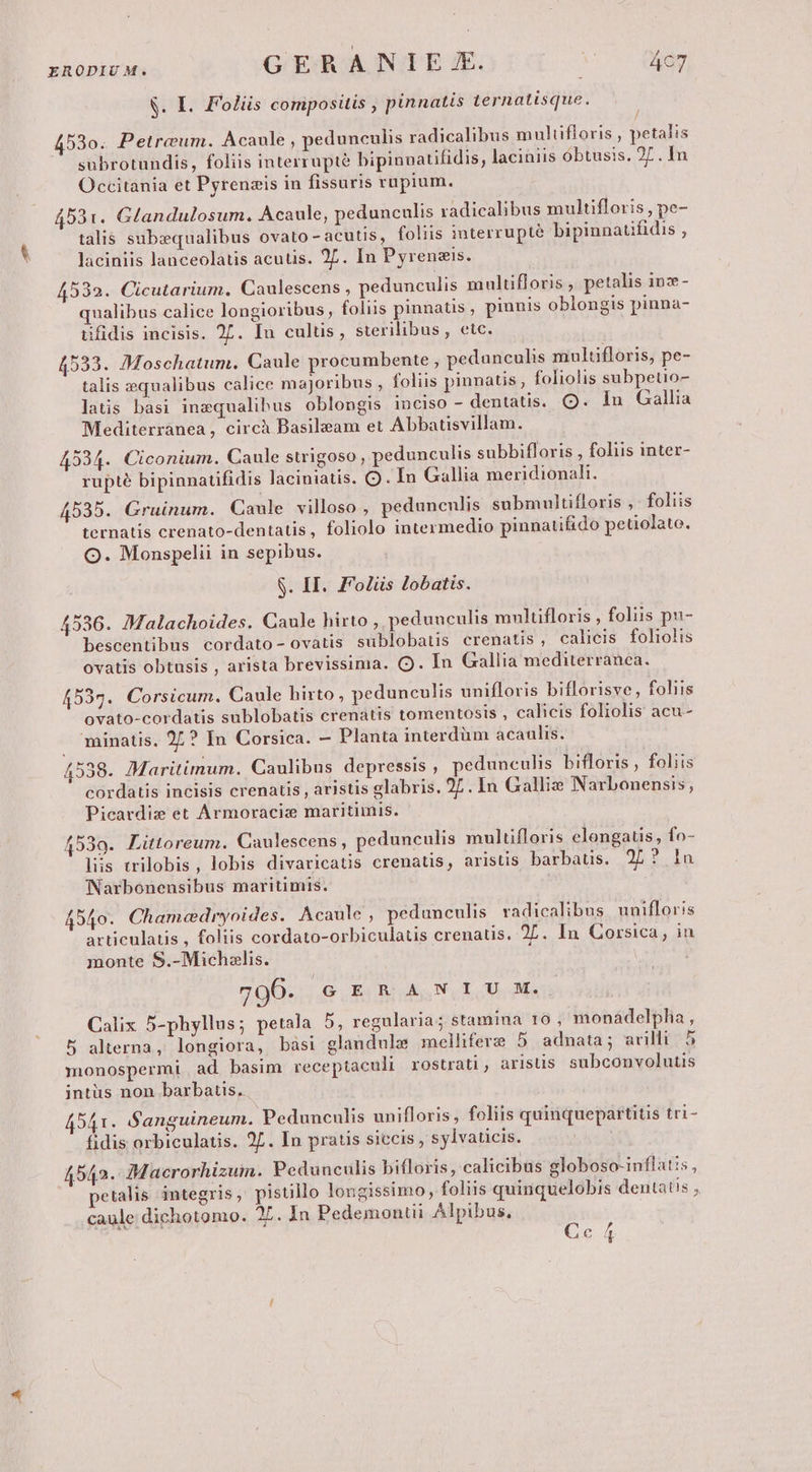 S. I. Foliis compositis , pinnatis ternatisque. / 453o. Petreum. Acanle , pedunculis radicalibus muliifloris , petalis subrotundis, foliis interrupté bipinnatifidis, laciniis óbtusis. 27. In Occitania et Pyrenzis in fissuris ruüpium. 4531. Glandulosum. Acaule, pedunculis radicalibus multifloris , pe- talis subequalibus ovato - acutis, foliis interrupté bipiunatifidis , laciniis lanceolatis acutis. 27. In Pyrenzis. 4532. Cicutarium. Caulescens , pedunculis multifloris , petalis inz- qualibus calice longioribus, foliis pinnatis, piunis oblongis pinna- üifidis incisis. 27. Iu culüs, sterilibus, etc. 4533. Moschatum. Caule procumbente , pedunculis multifloris, pe- talis qualibus calice majoribus , foliis pinnatis; foliolis subpetio- latis basi inequalibus oblongis inciso - dentatis. Q. In Gallia Mediterrànea, circh Basileam et Abbatisvillam. 4534. Ciconium. Caule swigoso , pedunculis subbifloris , foliis inter- rupté bipinnatifidis laciniatis. O . In Gallia meridionali. 4535. Gruinum. Caule villoso , pedunenlis submultifloris ,. foliis ternatis crenato-dentatis, foliolo intermedio pinnatifido petiolato. O. Monspelii in sepibus. $. II. Fodüs Zobatis. 4536. Malachoides. Caule hirto , pedunculis multifloris , foliis pu- bescentibus cordato- ovatis sublobatis crenatis, calicis foliolis ovatis obtusis , arista brevissima. Q. In Gallia mediterranea. £533. Corsicum. Caule hirto, pedunculis unifloris biflorisve, foliis ovato-cordatis sublobatis crenatis tomentosis , calicis foliolis acu- minatis. 27? In Corsica. — Planta interdüm acaulis. 4538. Maritimum. Caulibus depressis , yedunculis bifloris , foliis : ETE LEA ara E deut ) s cordatis incisis crenatis , aristis glabris. 27. In Gallix» Narbonensis, Picardiz et Armoracie maritimis. 4539. Liütoreum. Caulescens, pedunculis multifloris elongatis, fo- liis trilobis, lobis divaricatis crenatis, aristis barbaus. 25? la Narbonensibus maritimis. ! 4540. Cham«edryoides. Acaule, pedunculis radicalibus unifloris articulatis , foliis cordato-orbiculatis crenatis. 2L. In Corsica , in monte S.-Michalis. 706. Ge ERANIU M. Calix 5-phyllus; petala 5, regularia; stamina t0, monadelpha , 5 alterna, longiora, bàsi glandule melliferz 5 adnata; arilli 5 monospermi ad basim receptaculi rostrati, aristis. subconvolutis intüs non barbaus. 4541. Sansguineum. Pedunculis unifloris, foliis quinquepartitis tri- fidis orbiculatis. 27. In pratis siccis , sylvaticis. 4542. Macrorhizum. Pedunculis bifloris, calicibus globoso-inflatis, petalis. integris , pistillo longissimo, foliis quinquelobis dentatis , caule dichotomo. 27. In Pedemontii Alpibus, C [M 4
