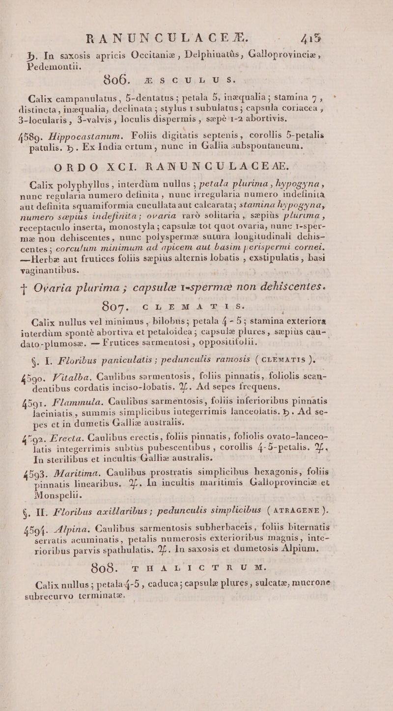 b. In saxosis apricis Occitaniz , Delphinatüs, Galloprovinciz , Pedemontii. 800.5 3:18 4625U. 1:069] Calix campanulatus , 5-dentatus ; petala 5, inzequalia ; stamina 7 , distincta , inzequalia, declinata ; stylus 1 subulatus; capsula coriacea , 3-locularis, 3-valvis , loculis dispermis , spé 1-2 abortivis. 4589. Hippocastanum. Foliis digitatis septenis, corollis 5-petalis patulis. 5. Ex India ertum, nunc in Gallia subspontaneum. ORDO XCI. RANUNCULA C E AE. Calix polyphyilus , interdum nullus ; petala plurima , hypogyna à nunc regularia numero definita , nunc irregularia numero indefinita aut definita squamiformia cucullata aut calcarata; stamina hypogyna; numero scepius indefinita ; ovaria varo solitaria ,, sepiüs plurima , receptaculo inserta, monostyla ; capsule tot quot ovaria, nune r-sper- mz non dehiscentes, nunc polyspermz sutura longitudinali dehis- centes ; corculum minimum ad apicem aut basim perispermi cornet. —hHerbz aut frutices foliis sepius alternis lobatis , exsüpulatis , basi vaginantibus. | f Ovaria plurima ; capsule 1-spermee non dehiscentes. 907. C.IL EOM A 9—L.5s 4 Calix nullus vel minimus , bilobus; petala 4 - 5 ; stamina exteriora iuterdüm sponté abortiva et petaloidea ; capsule plures, szpiüs cau- dato-plumosz. — Frutices sarmentosi , oppositifolii. ; g. Ll. Foribus paniculatis ; pedunculis ramosis ( cLEMA TIS n 4590. Fitalba. Caulibus sarmentosis, foliis pinnatis, foliolis scan- dentibus cordatis inciso-lobatis. 27. Ad sepes frequens. 4591. Flammnula. Caulibus sarmentosis , folis inferioribus pinnatis laciniatis, summis simplicibus iutegerrimis lanceolatis. b . Ad se- pes et in dumetis Galliz australis. 4:92. Erecta. Caulibus erectis, foliis pinnatis , foliolis ovato-lanceo- latis integerrimis subtus pubescentibus , corollis 4-5- petalis. 27. In sterilibus et incultis Galliz australis. 4593. Maritima. Caulibus prostratis simplicibus hexagonis, foliis pinnatis linearibus, 2L. In incultis maritimis Galloprovinciz et Monspelu. $. II. ZZoribus axillaribus ; pedunculis simplicibus ( &amp;kTRAGENE ). 4594. Alpina. Caulibus sarmentosis subherbaceis, foliis biternatis serraüis acuminatis, petalis numerosis exterioribus magnis, inte- rioribus parvis spathulatis. 2L. In saxosis et dumetosis Alpium. BOO EH A RIC. T R UM. Calix nullus ; petala-4-5 , caduca; capsule plures , sulcatz, mucrone