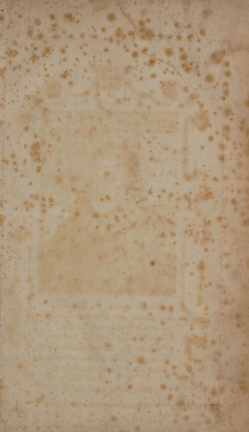 cx we nm he ¥ M fe Sain mh