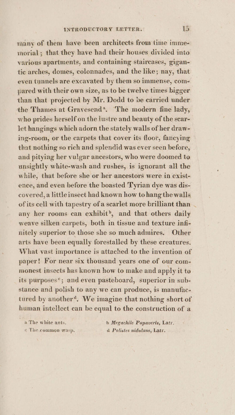 many of them have been architects from time imme- morial; that they have had their houses divided into various apartments, and containing staircases, gigan- tic arches, domes, colonnades, and the like; nay, that even tunnels are excavated by them so immense, com- pared with their own size, as to be twelve times bigger than that projected by Mr. Dodd to pe carried under who prides herself on the lustre and beauty of the scar- let hangings which adorn the stately walls of her draw- ing-reom, or the carpets that cover its floor, fancying that nothing so rich and splendid was ever seen before, and pitying her vulgar ancestors, who were doomed to unsightly white-wash and rushes, is ignorant all the while, that before she or her ancestors were in exist- ence, and even before the boasted Tyrian dye was dis- covered, a little insect had known how to hang the walls of its cell with tapestry ofa scarlet more brilliant than any her rooms can exhibit’, and that others daily weave silken carpets, both in tissue and texture infi- nitely superior to those she so much admires. Other arts have been equally forestalled by these creatures. What vast importance is attached to the invention of paper! For near six thousand years one of our com- monest insects has known how to make and apply it to its purposes®; and even pasteboard, superior in sub- stance and polish to any we can produce, is manufac- tured by another*. We imagine that nothing short of human intellect can be equal to the construction of a a The white ants. b Megachile Papaveris, Latr. &lt; The. common wasp, d Polistes nidulans, Latr, ~~