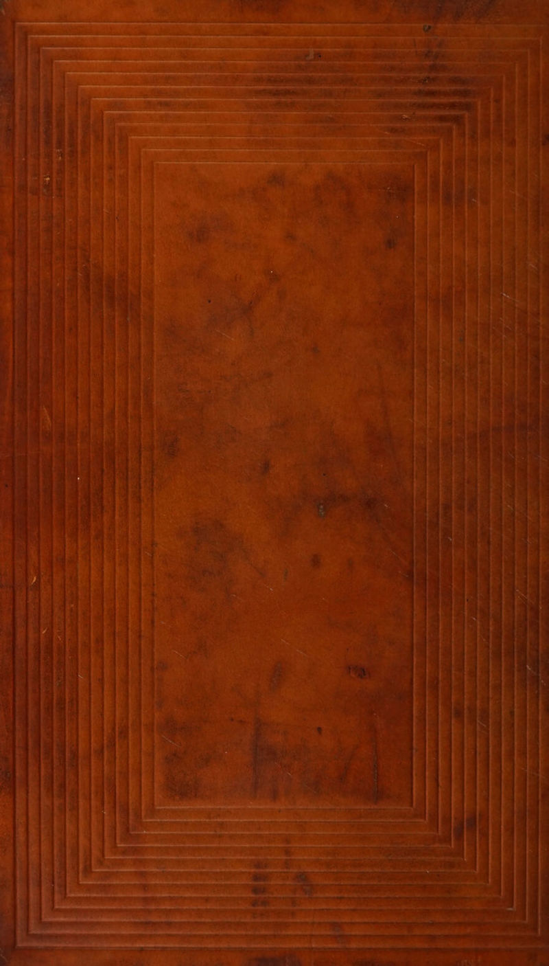 o a ‘ . ox A “i bd Pn mR ly ge me lll on sf eer: &lt; Pe F , 2 ‘ titles « “p A te ctntliiy s l O “ bad ¥ a Ee IG ote so 4 a = = mee |S Pe eee Rieti —_ failin Se lt a TEM, thine ae de re % i Te ei