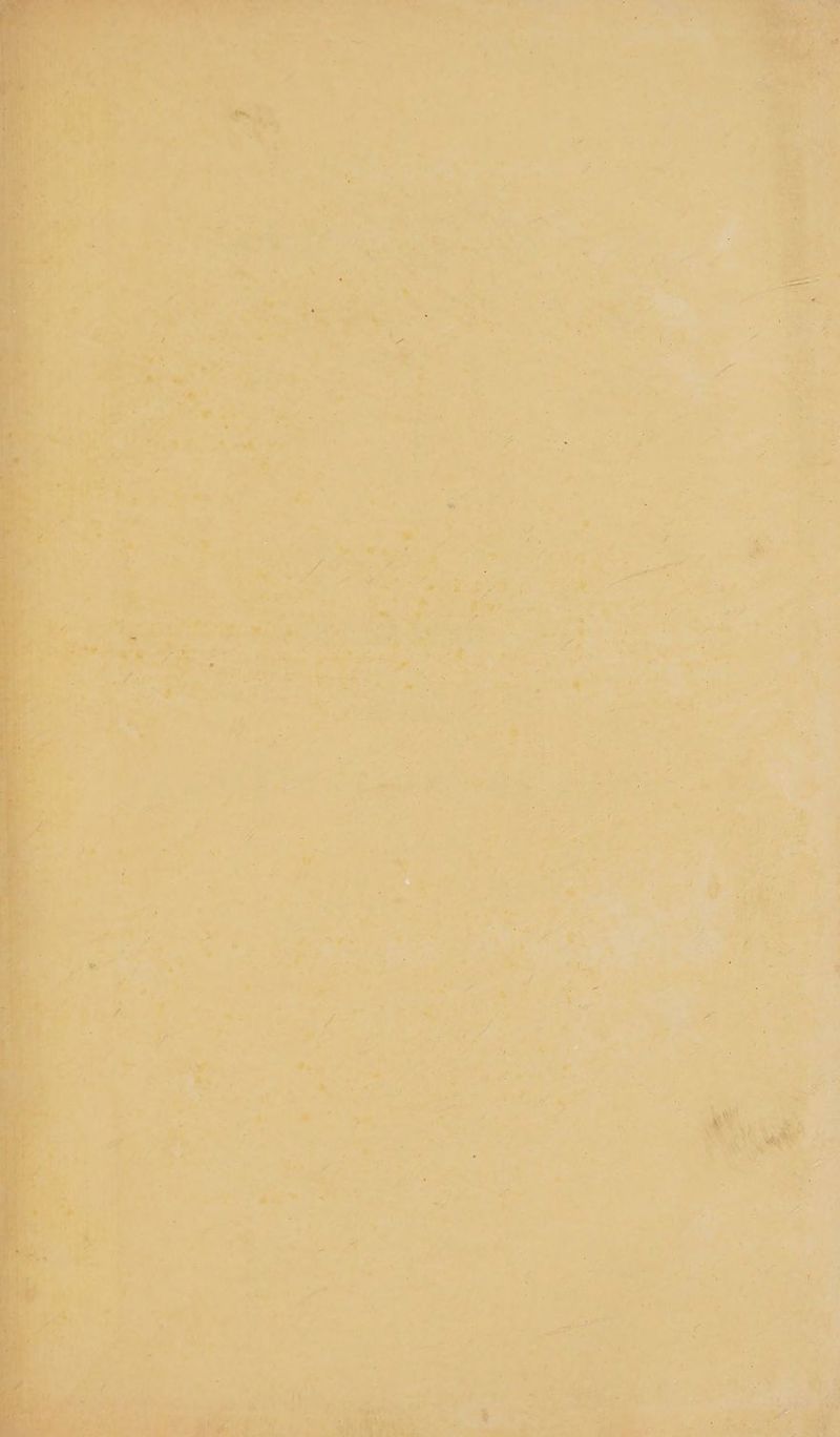 A a