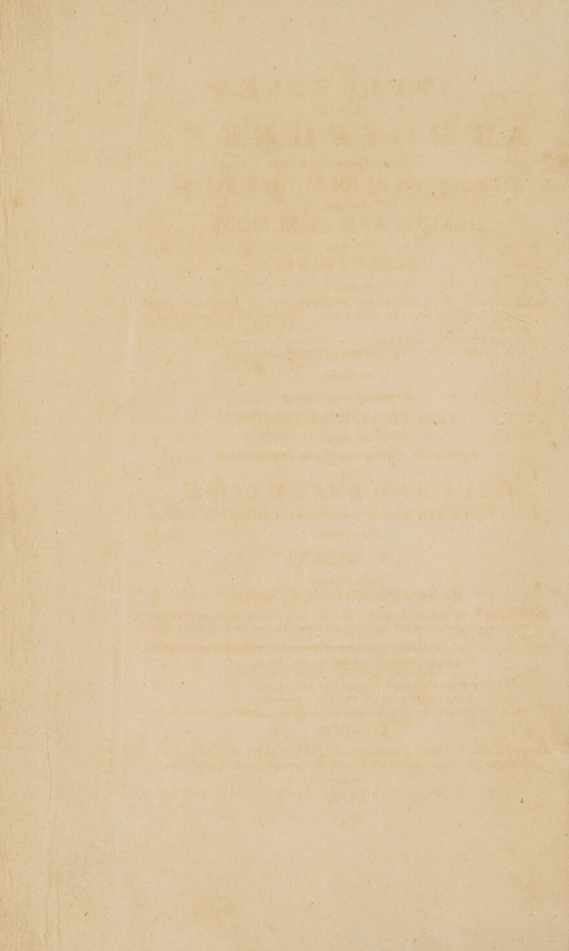 ne yer Be ish apes “- + hod fe athe vinta leh i ‘ og Fe As aie z = he s ett i bone &lt; a mite: ve = sat dee ? n aa ¥) &gt; * 7a, . ie teachin ie # a ay y ig * ee ' a eel ee ie ed