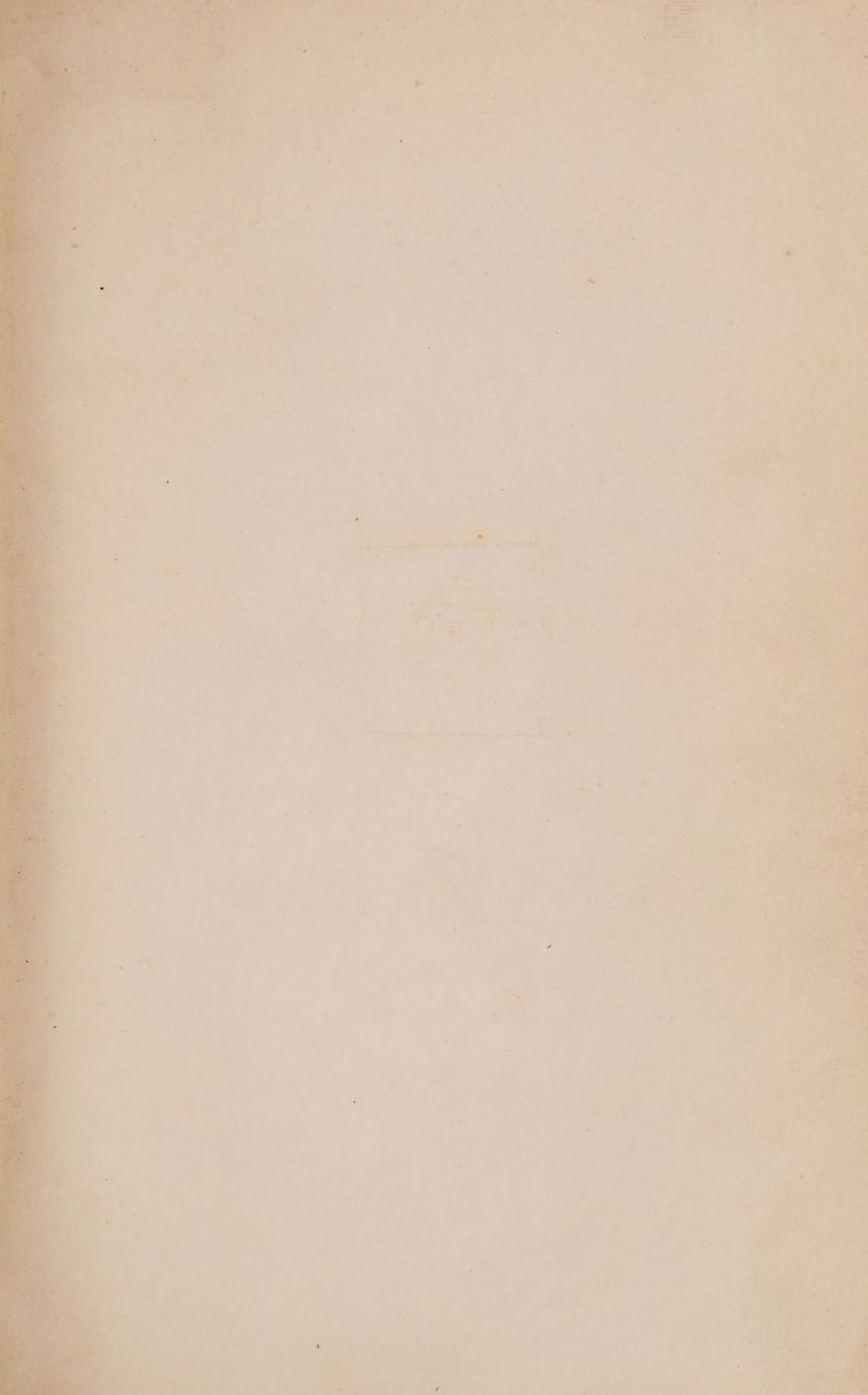 + . ¥ > _ ‘ W ty 4 * LiKe ° ~ ’ bs - *  % = * ca _ —