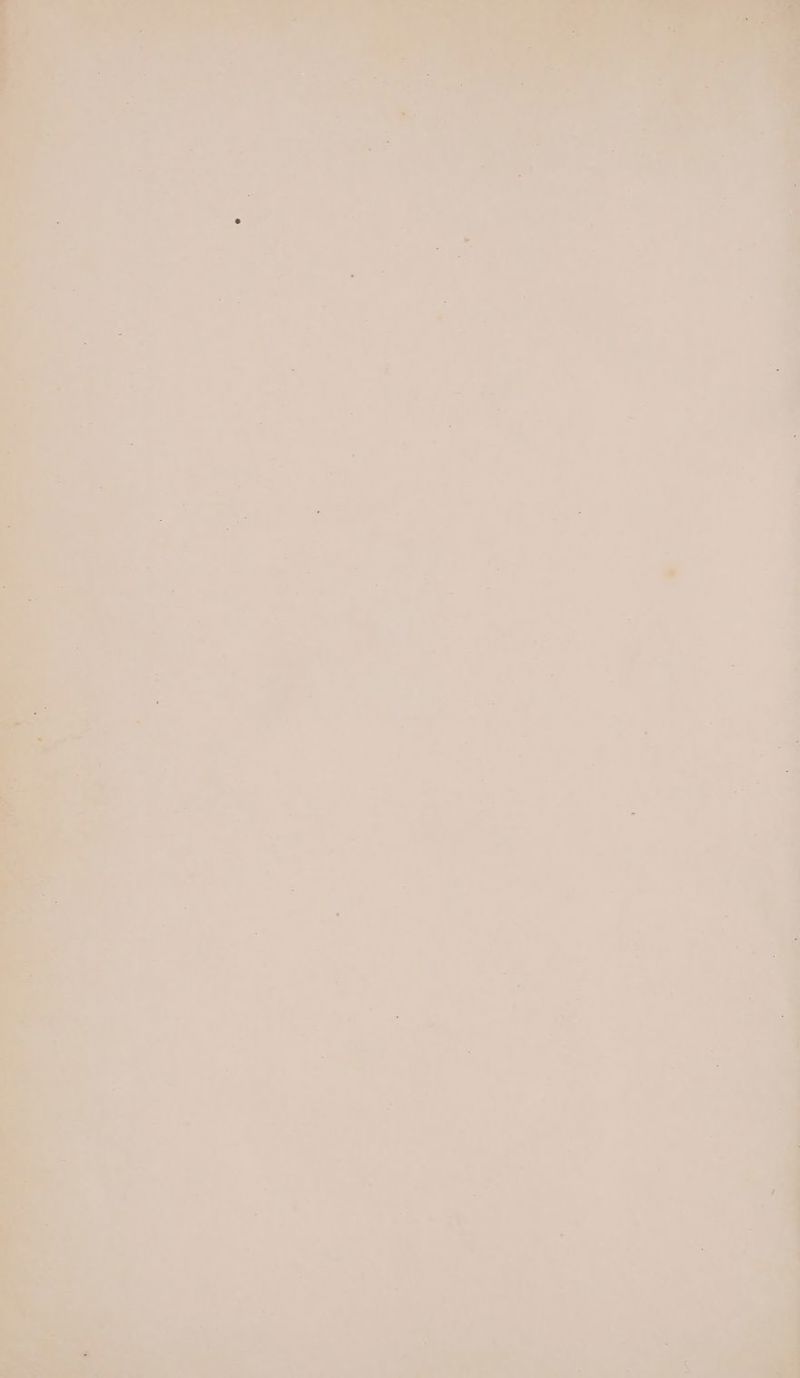 pate : 1 ] t a a > a nae mae ‘2 - a : Y amy ye