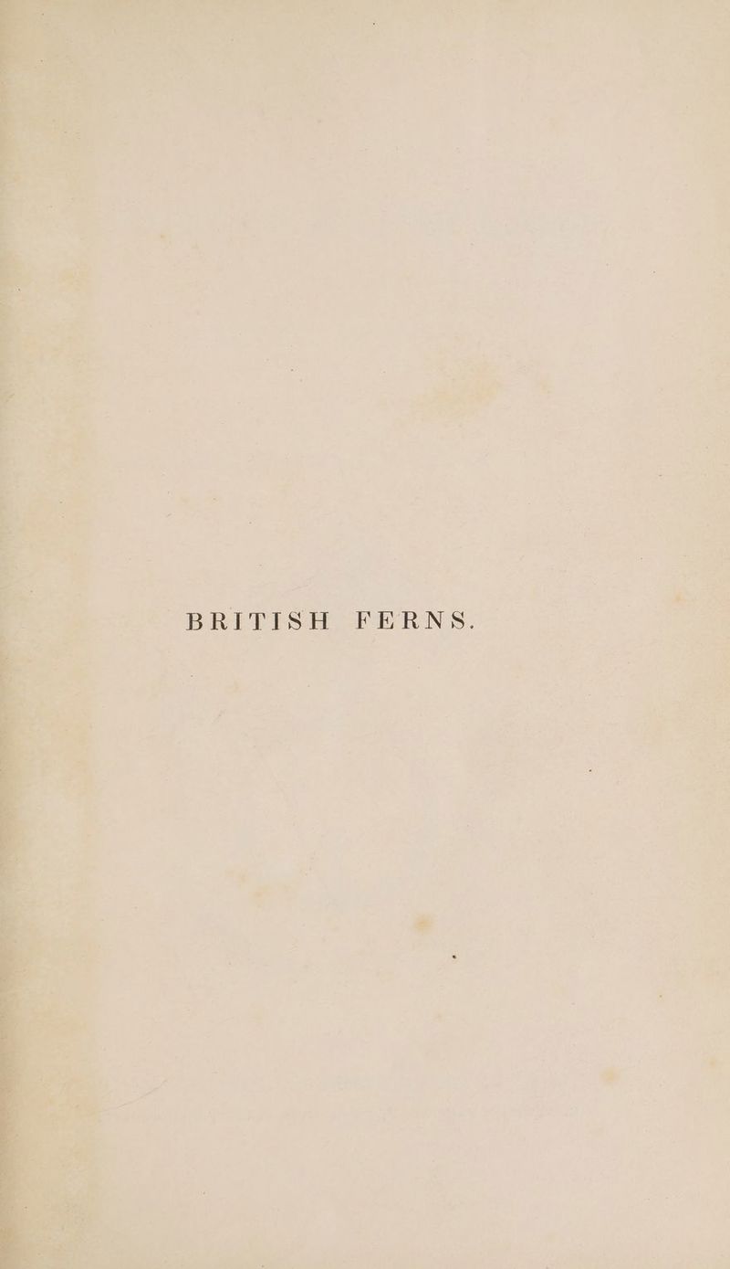 - BRITISH FERNS. 0 S © 4 * : i